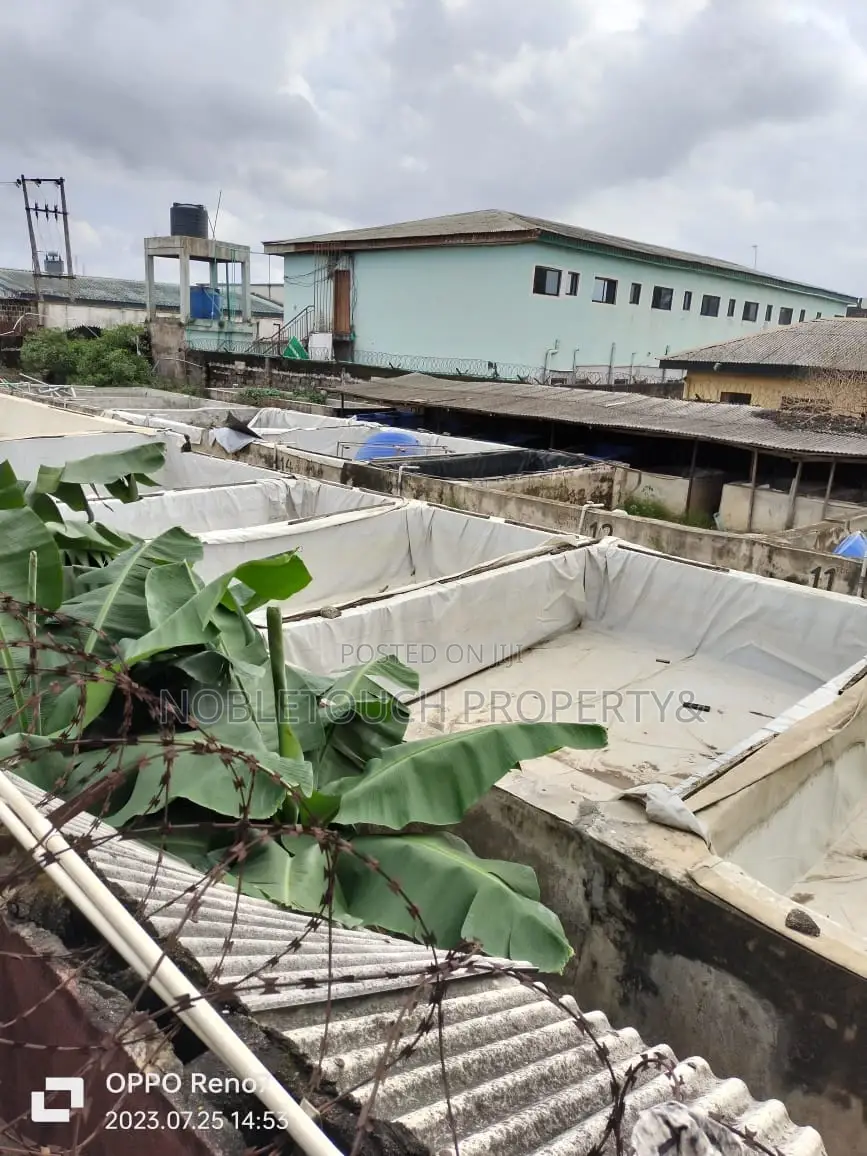 2plots of Land Off Ikotun Idimu Road for Sale in Iseri Olofin