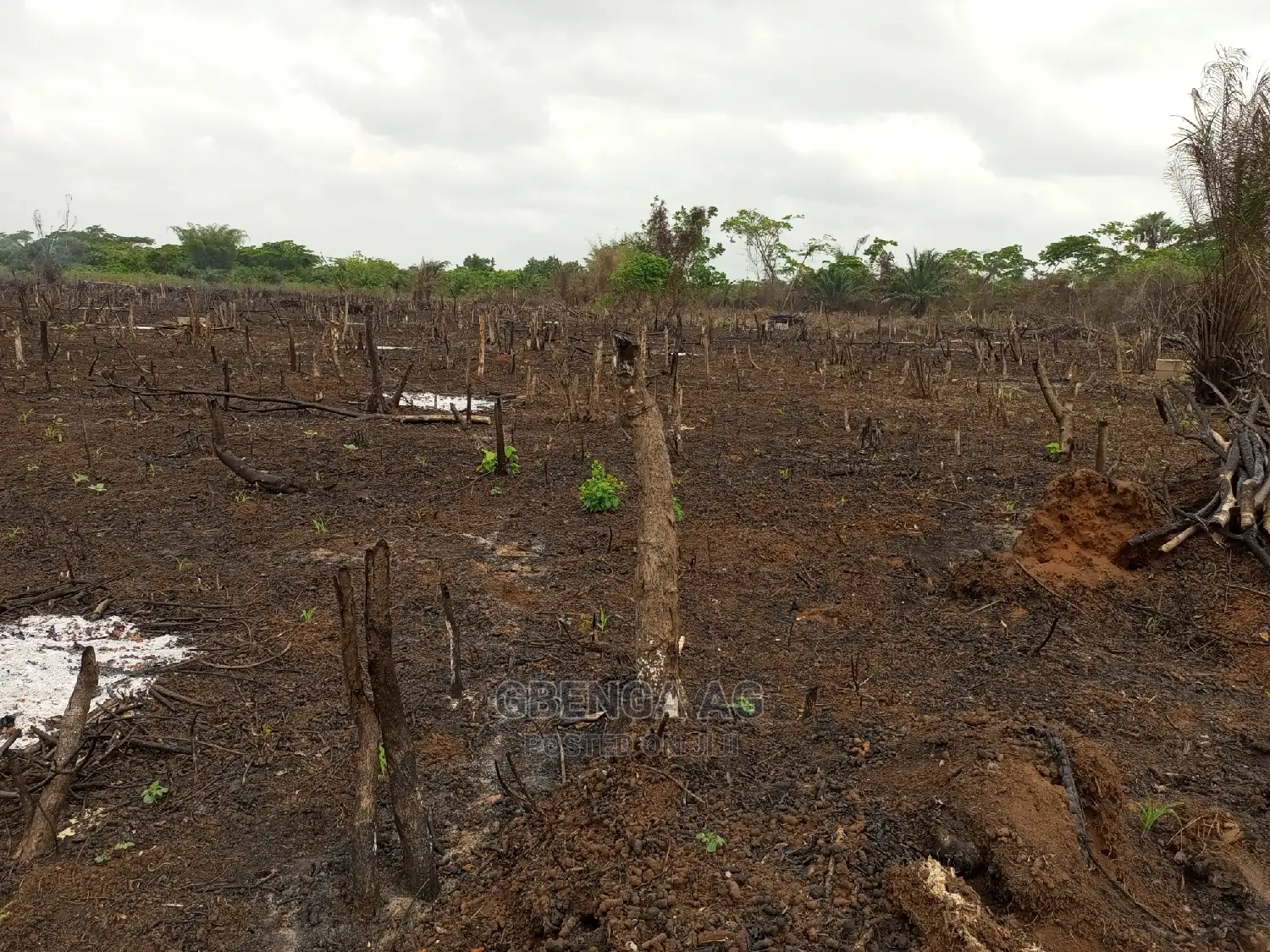 Acres of Land for Sale in Obafemi-Owode
