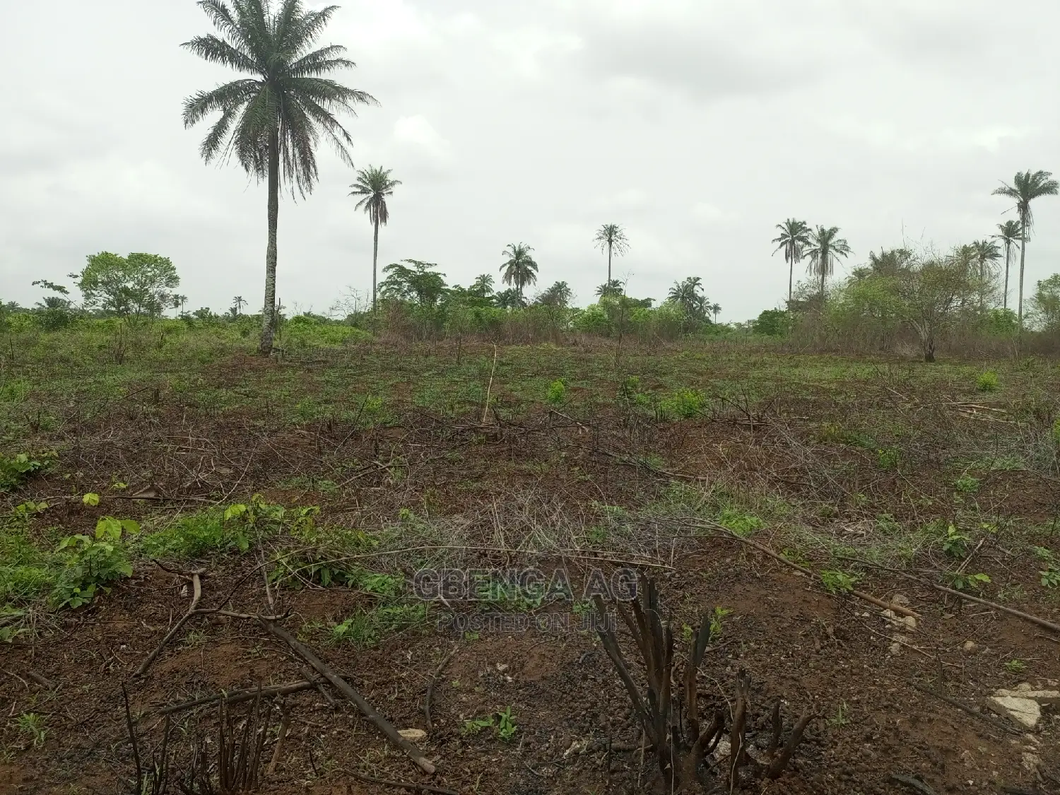 Acres of Land for Sale in Obafemi-Owode