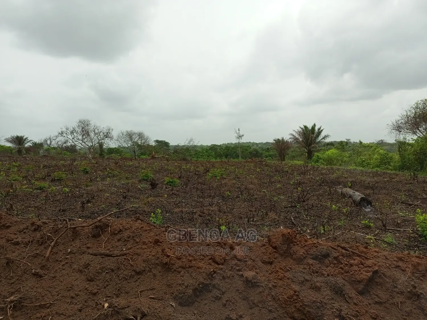 Acres of Land for Sale in Obafemi-Owode