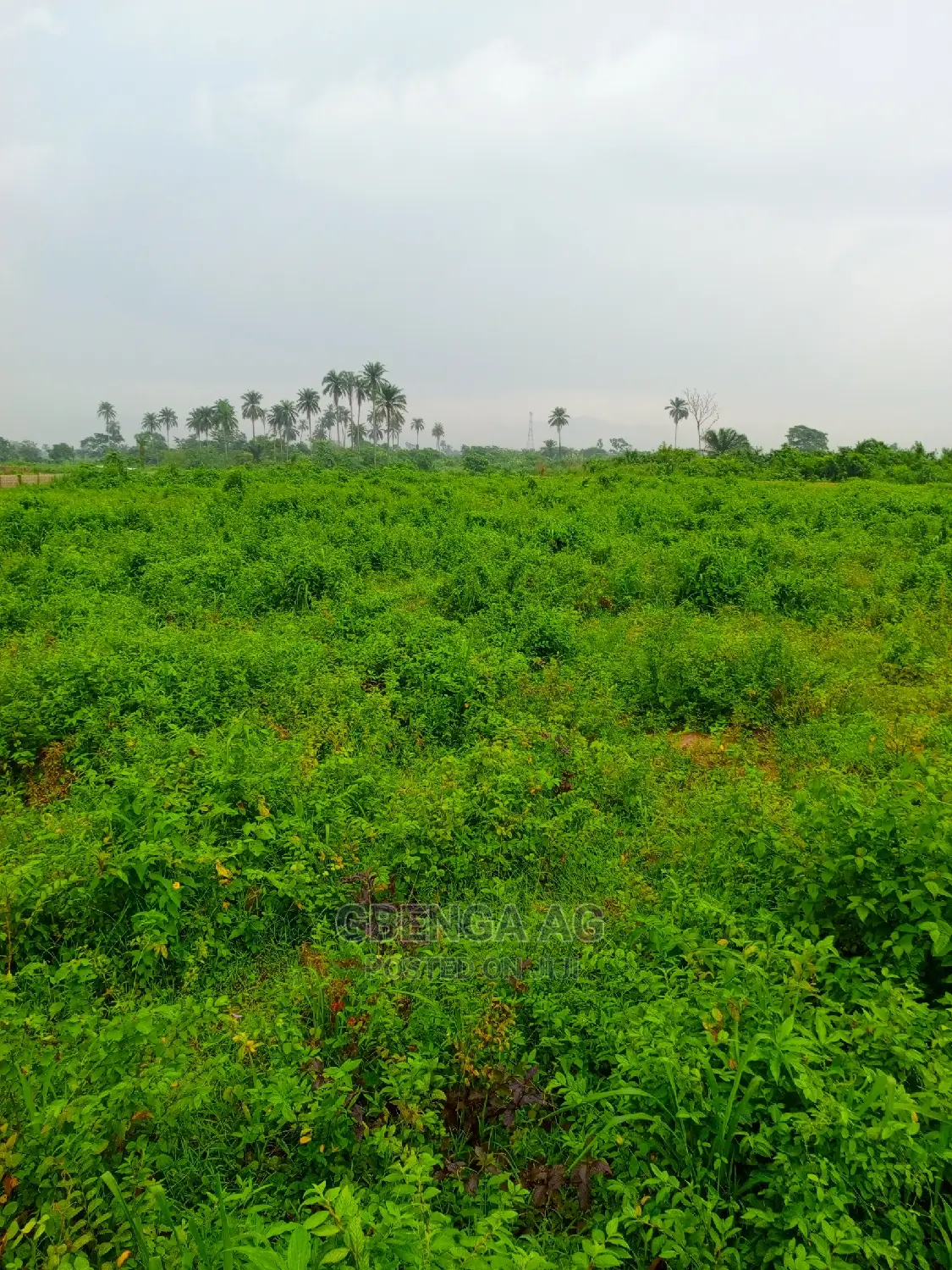 Plots of Land for Sale at Epe in Epe