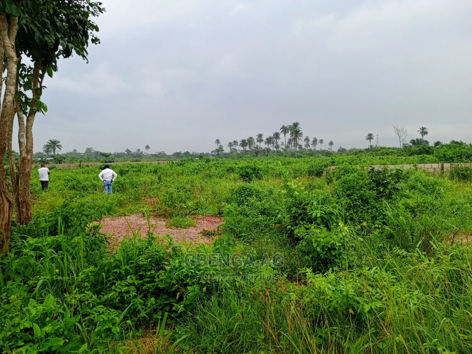 Plots of Land for Sale at Epe in Epe
