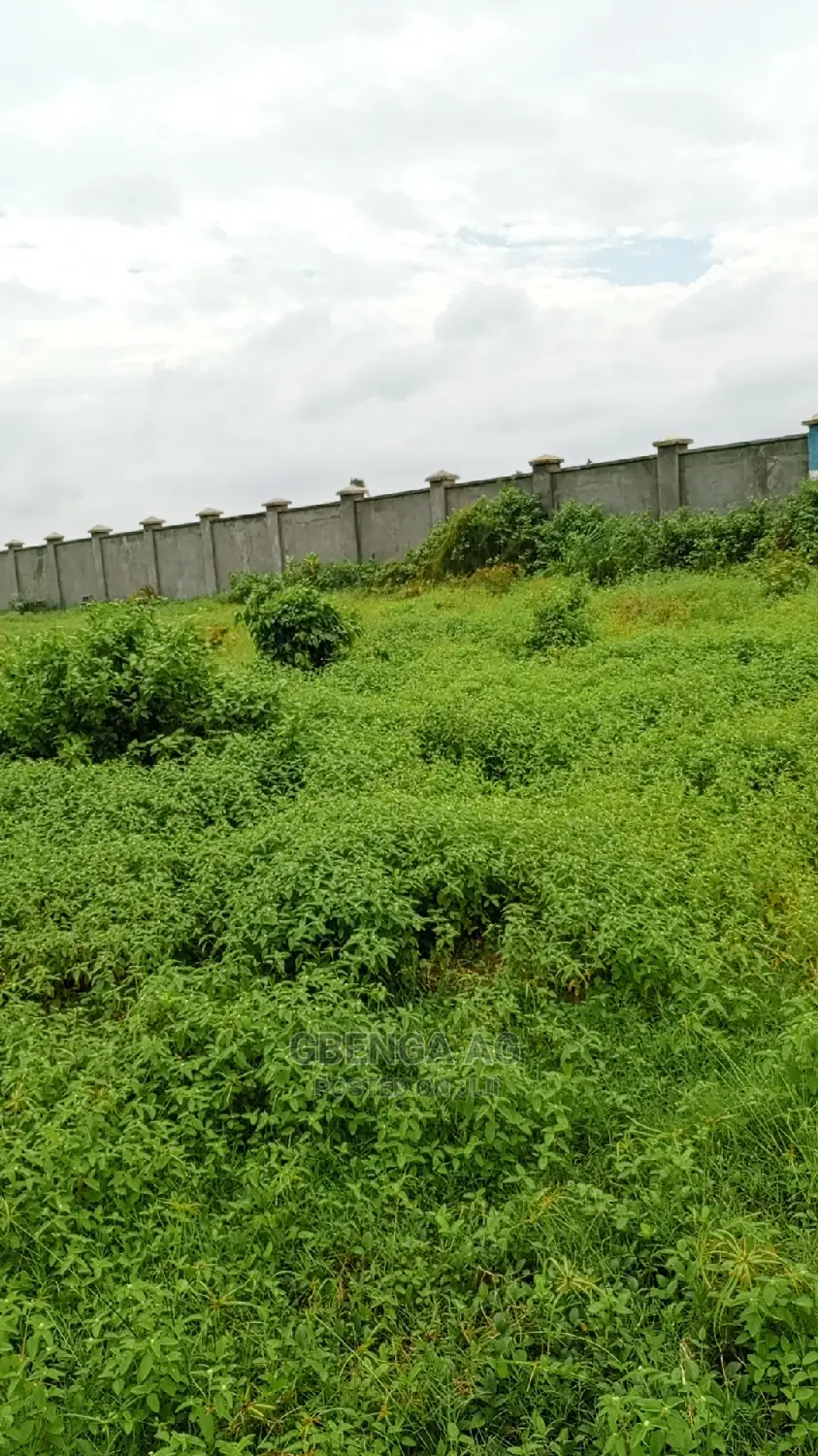 Plots of Land for Sale at Ibeju Lekki in Ibeju