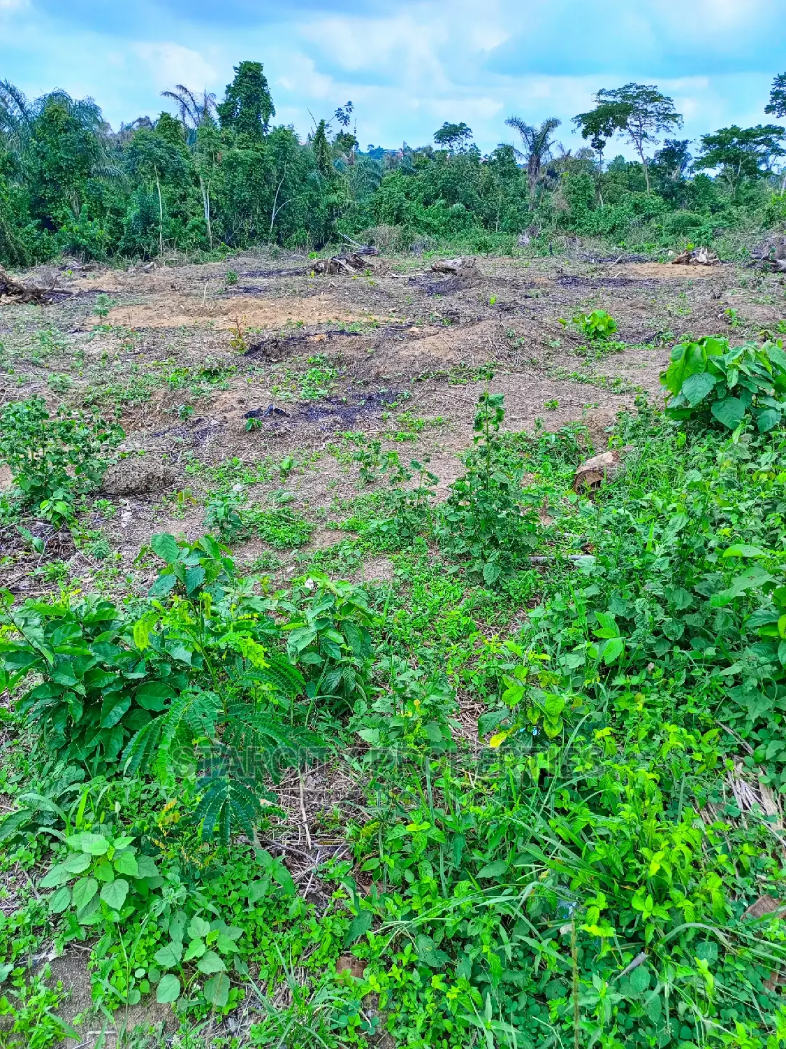 Land for Sale in Northgate Phase1 Opposite Farapark Ajah in Sangotedo