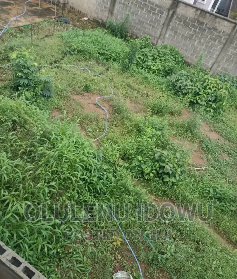 Virgin Land at Gemade Estate Egbeda for Sale in Alimosho