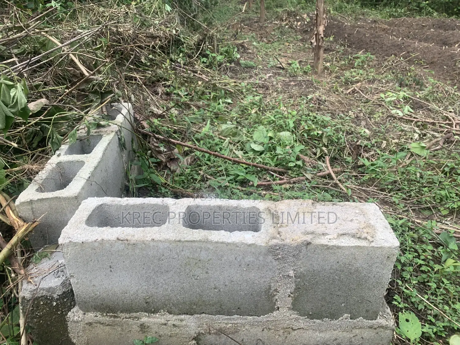 Sweet and Affordable Plot of Land in Isiokpo PH for SALE in Port-Harcourt