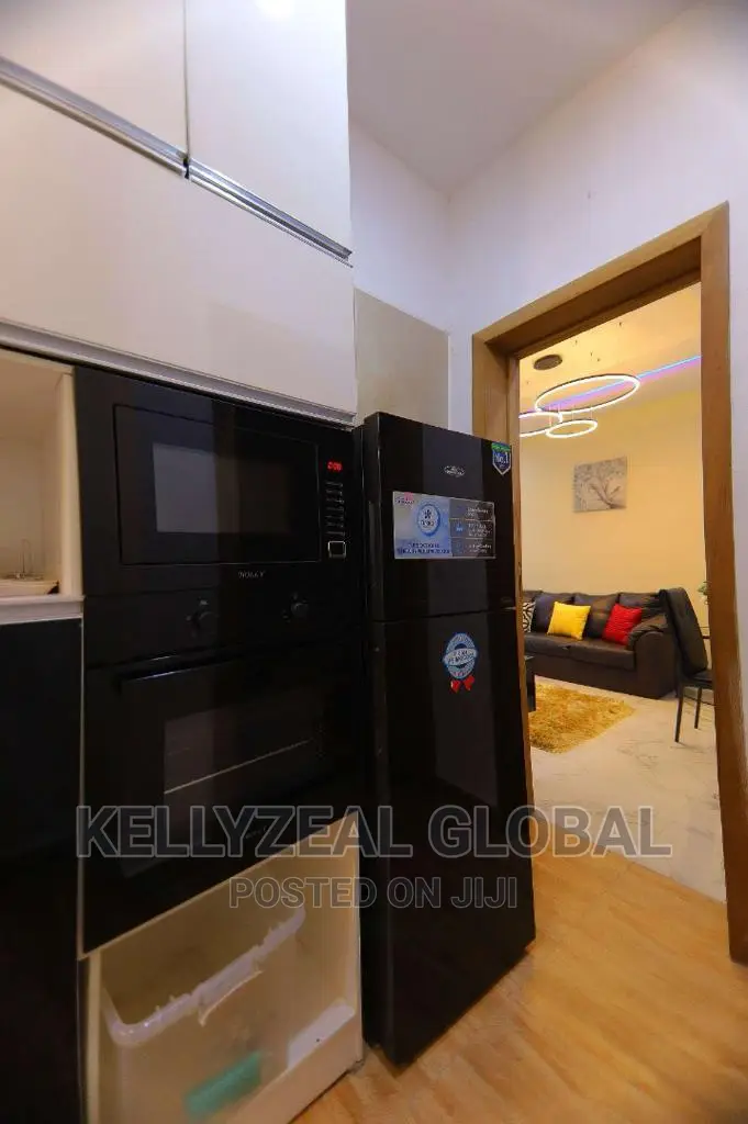 Standard Shortlet 2 Bedroom Apartment for Booking in Ikate