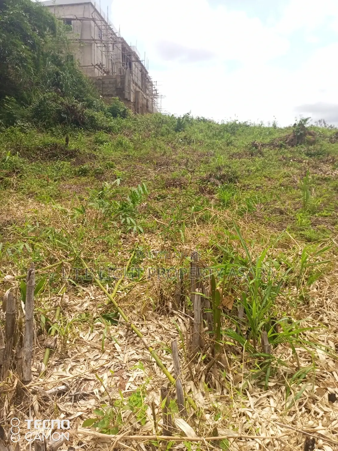 Deeds Conveyance in Oshimili North