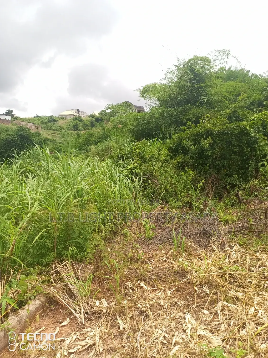 Deeds Conveyance in Oshimili North