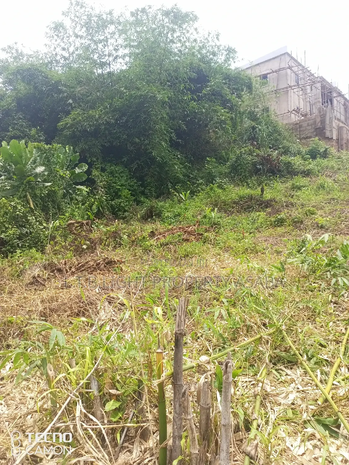 Deeds Conveyance in Oshimili North
