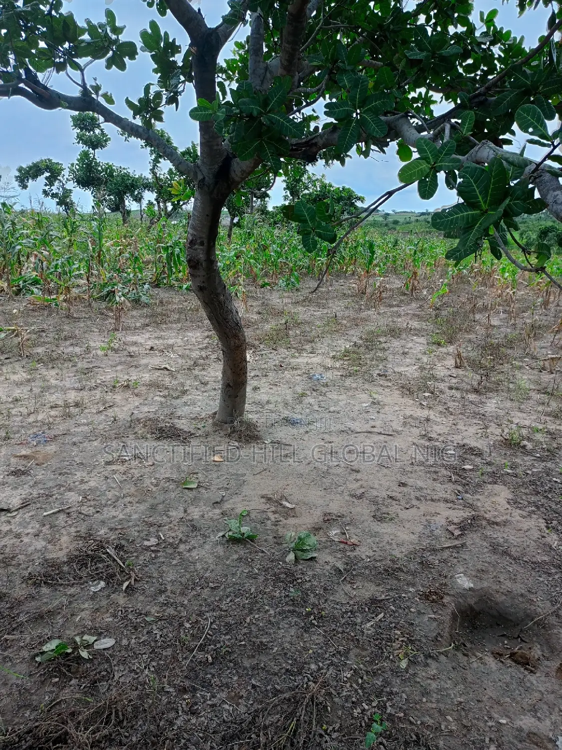 Residential Lands for Sale, Cofo in Gaduwa
