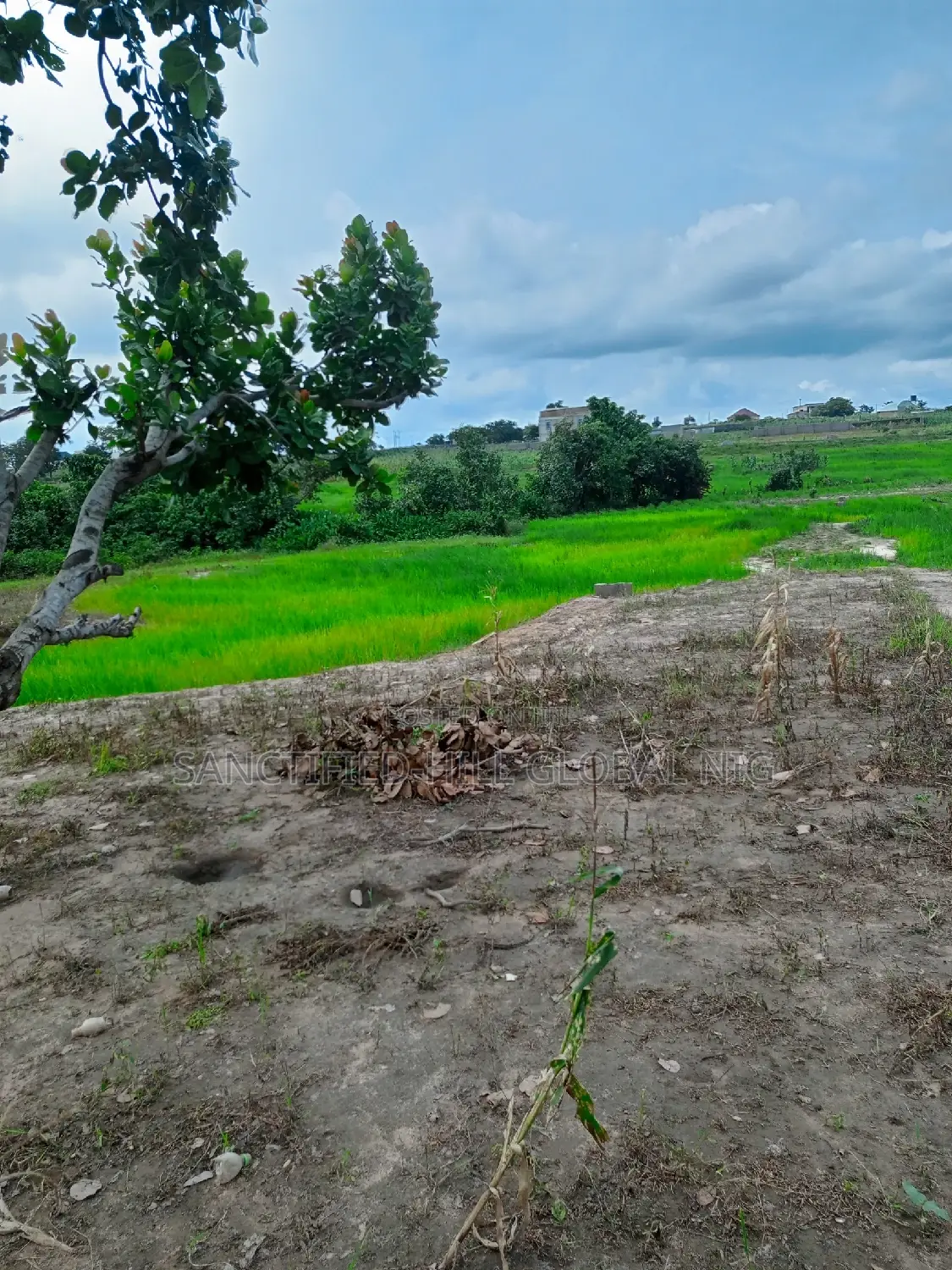Residential Lands for Sale, Cofo in Gaduwa