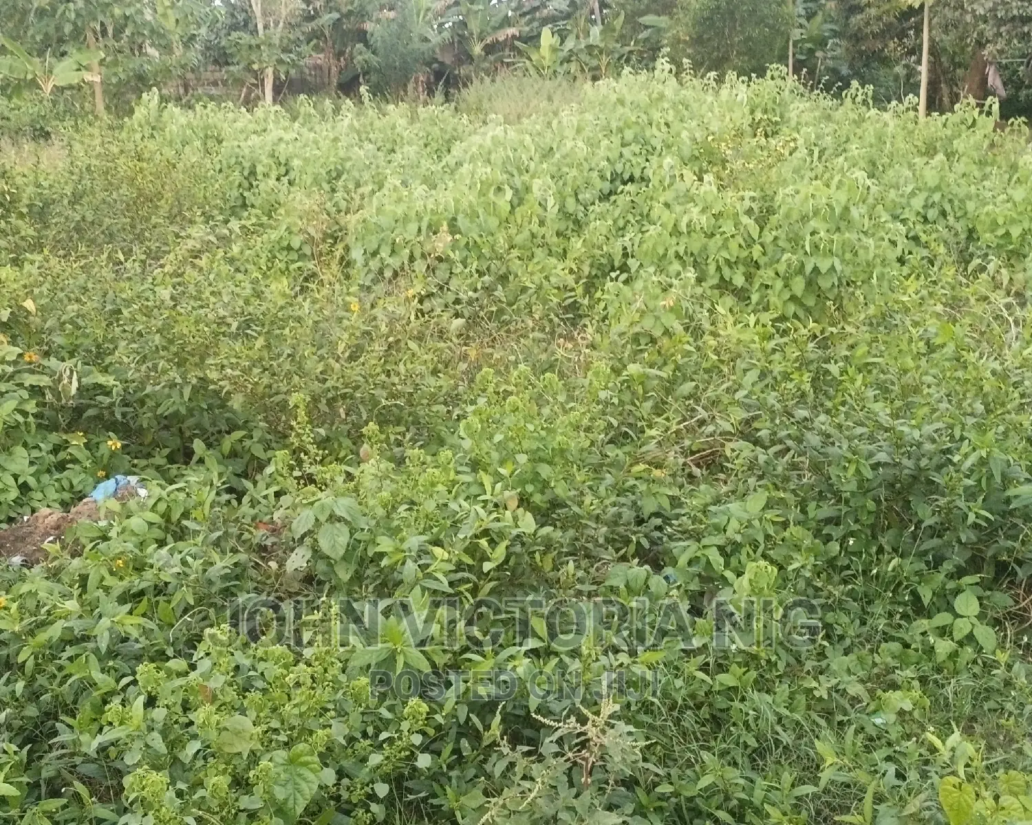 Empty Full Plot of Land for Sale in Badagry in Badagry