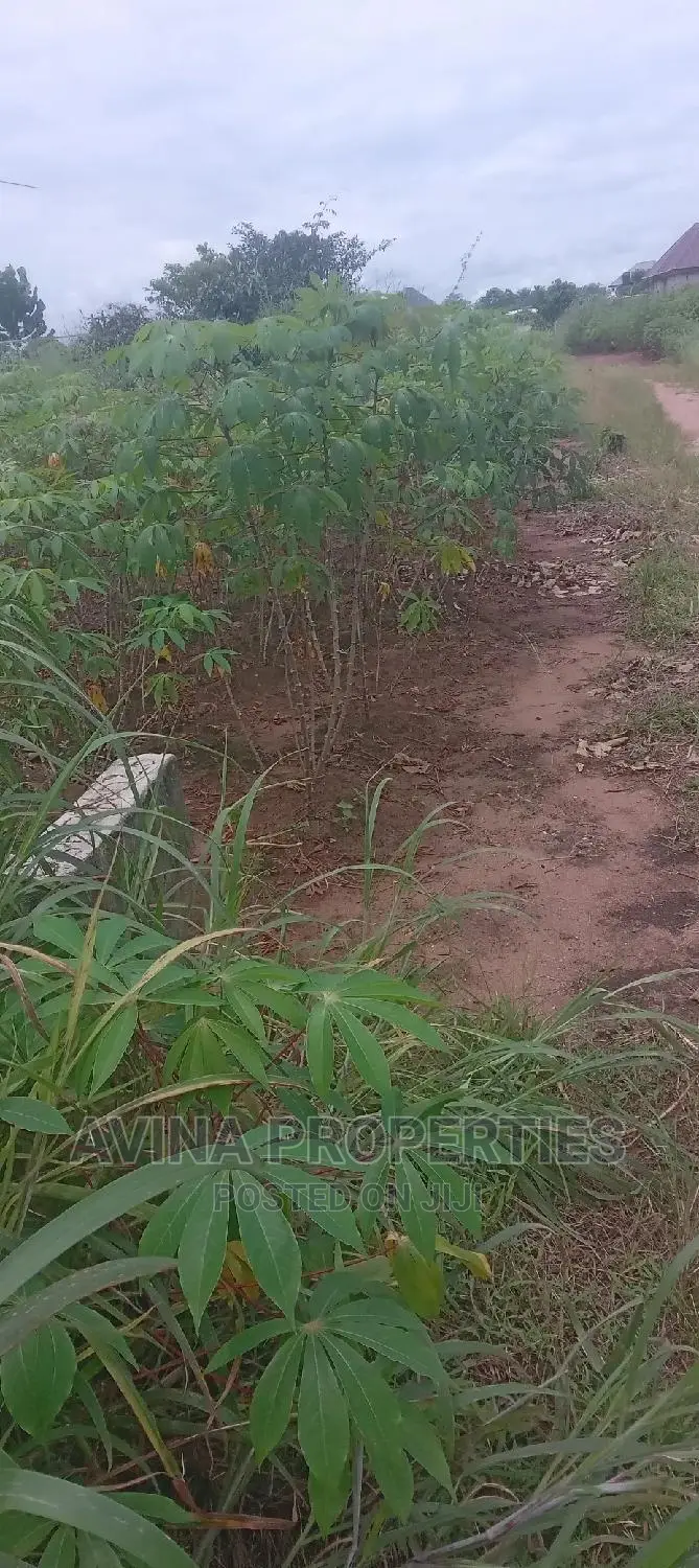 One Plot of Land for Sale in Owerri