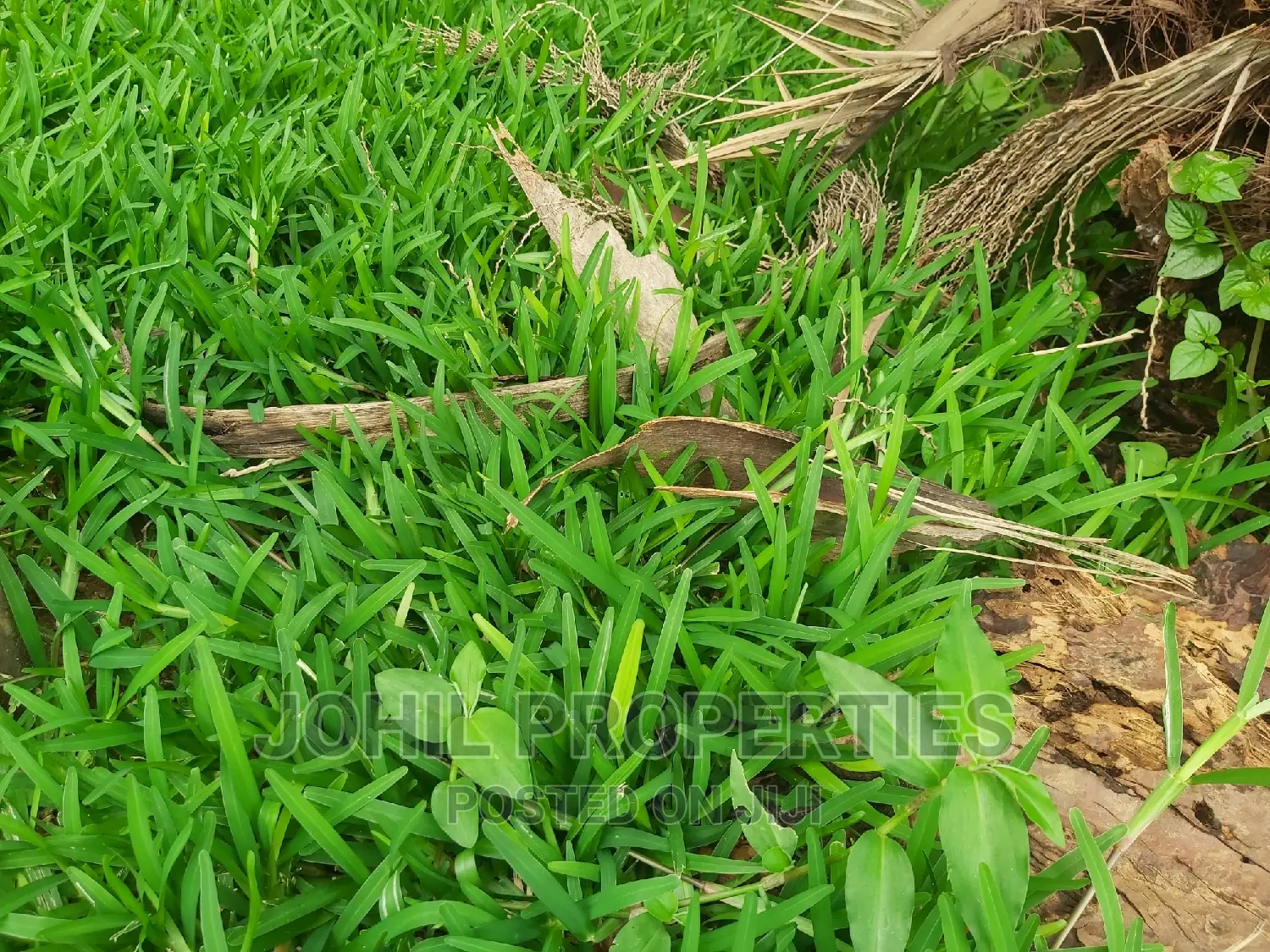 6.7 Hectares in Maitama