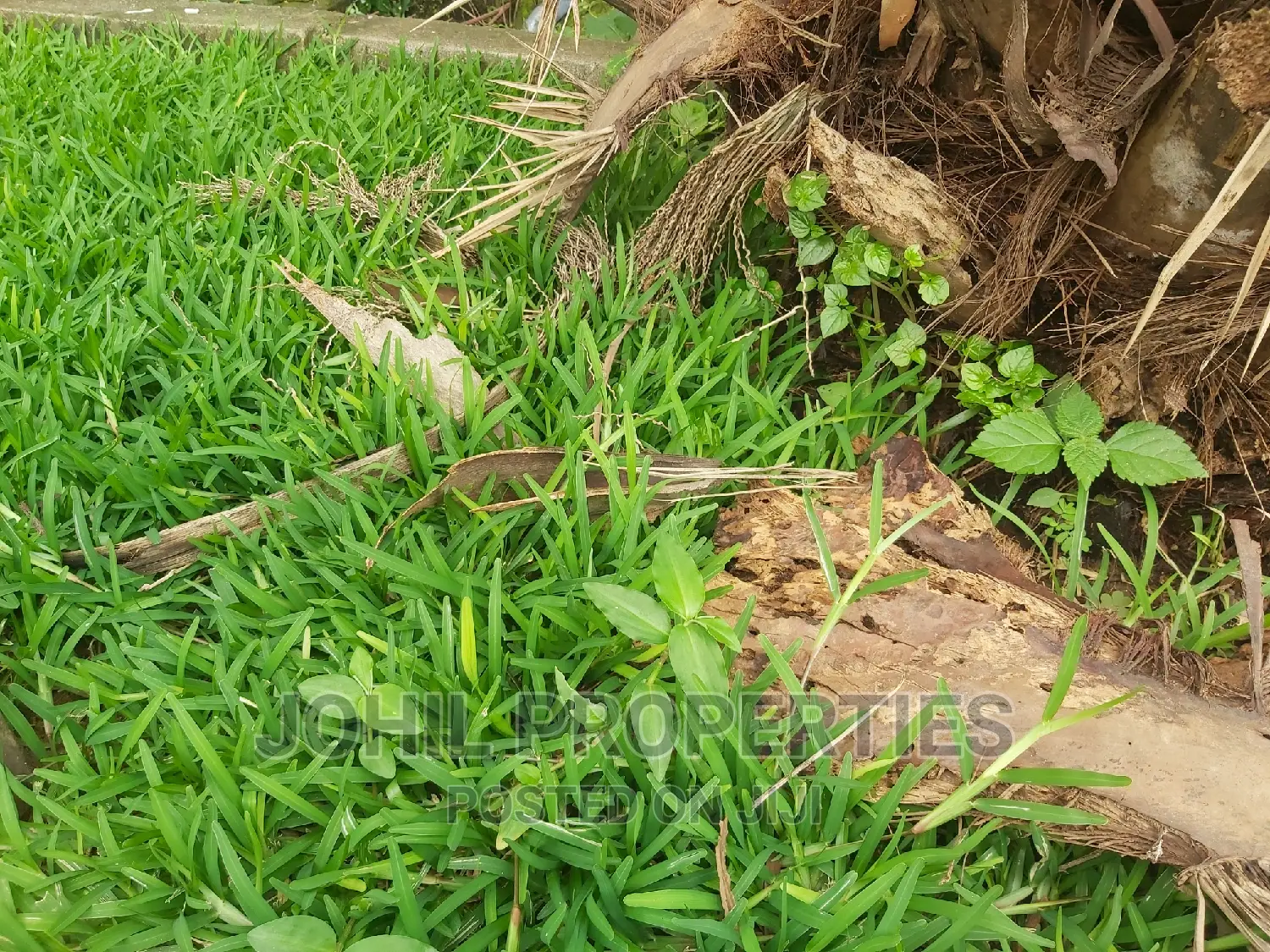 6.7 Hectares in Maitama