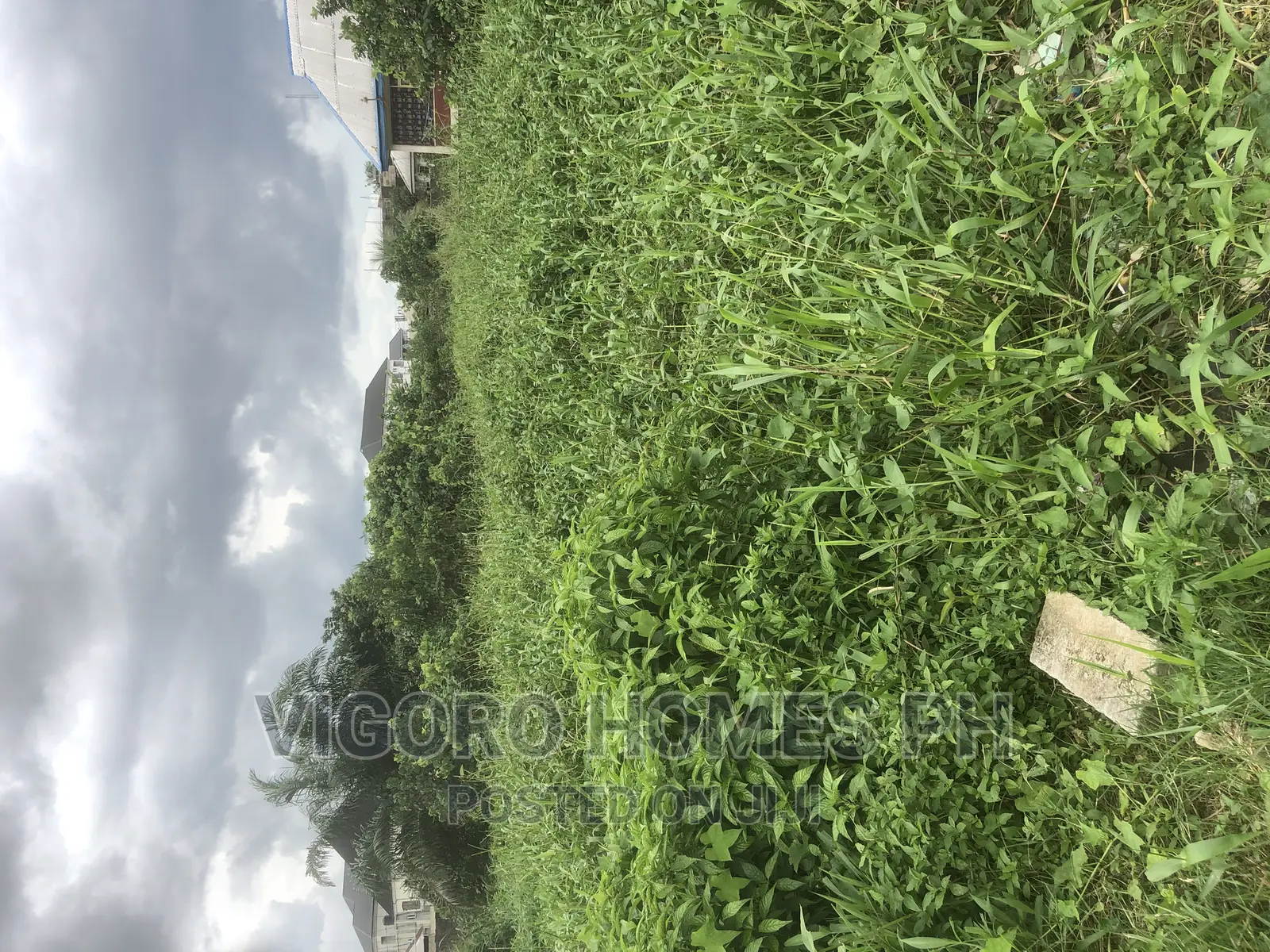 Leasing Out in Port-Harcourt
