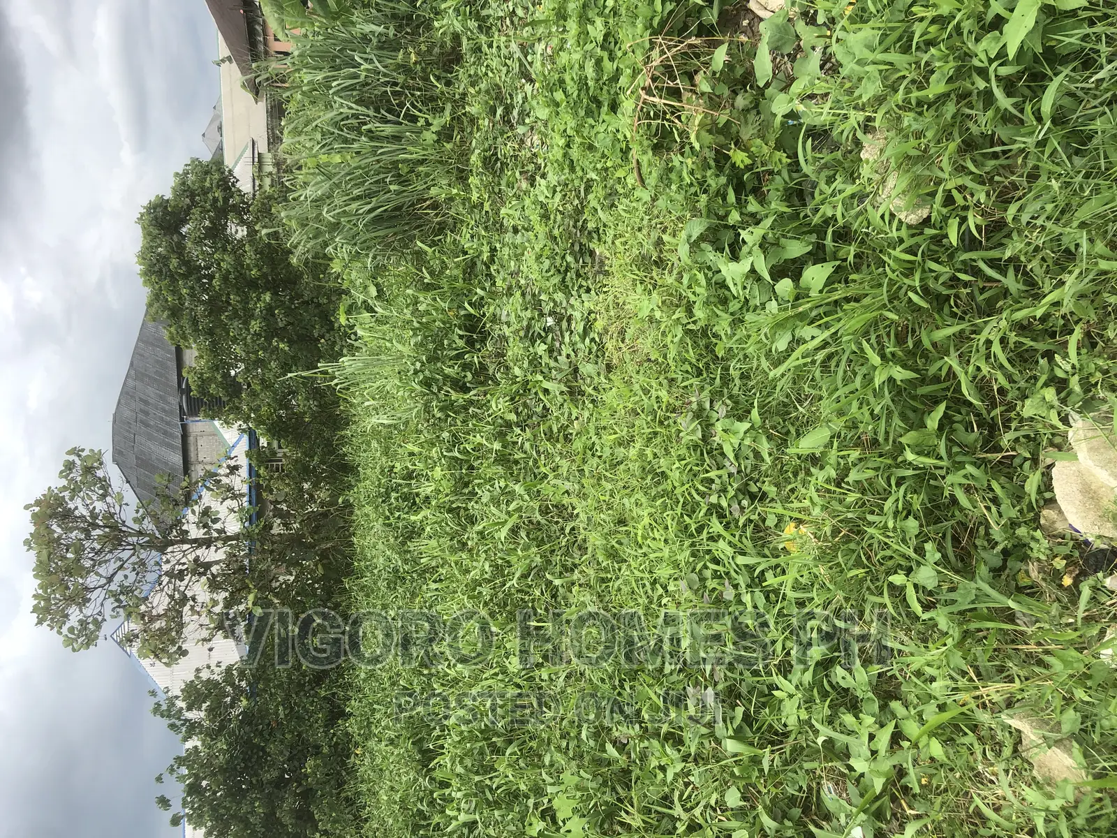 Leasing Out in Port-Harcourt