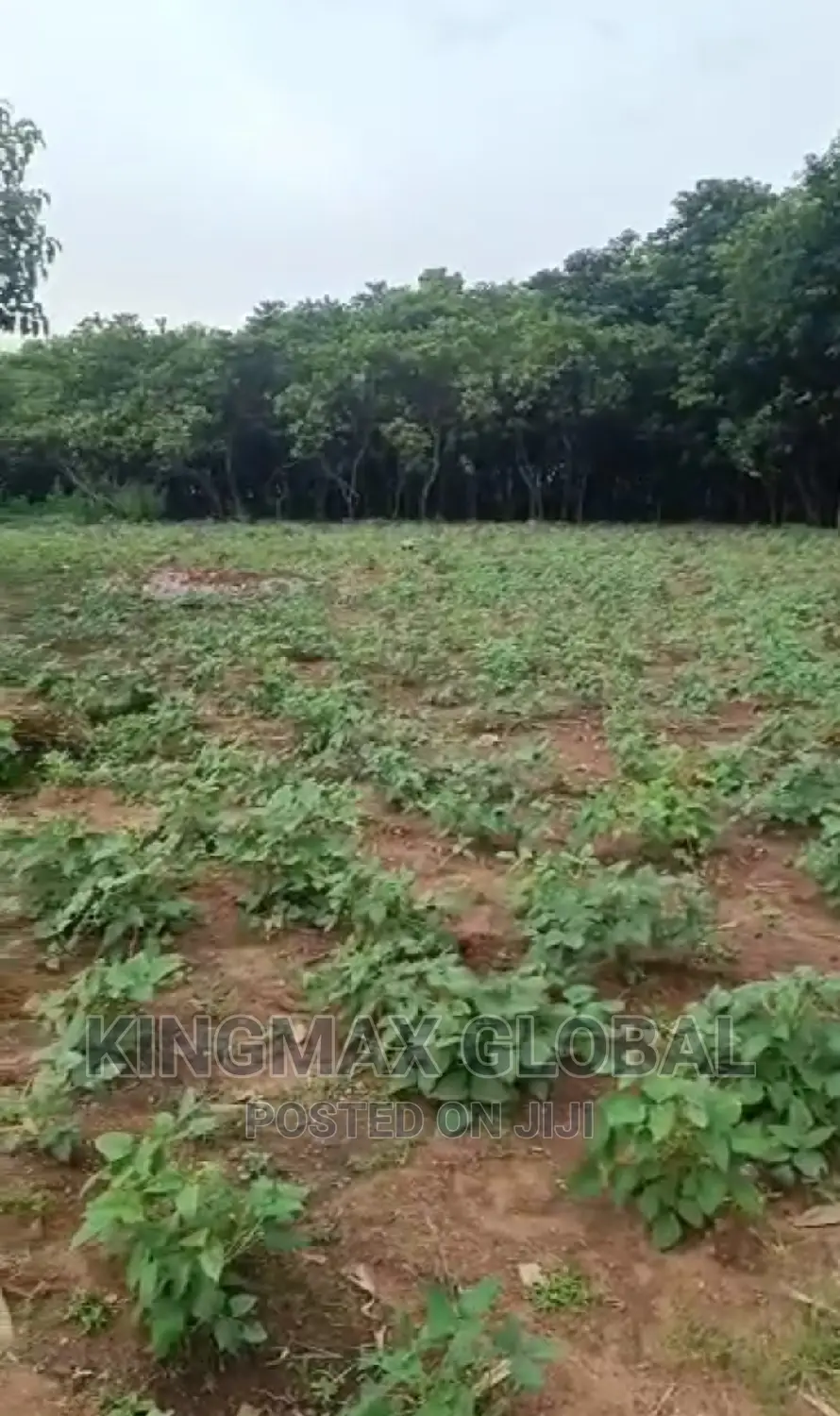 Flat 5.14 Hectares Mixed Use Land Located in Guzape 2. in Guzape District
