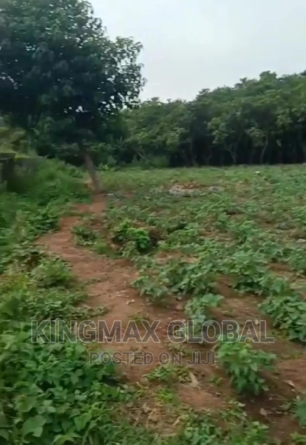 Flat 5.14 Hectares Mixed Use Land Located in Guzape 2. in Guzape District