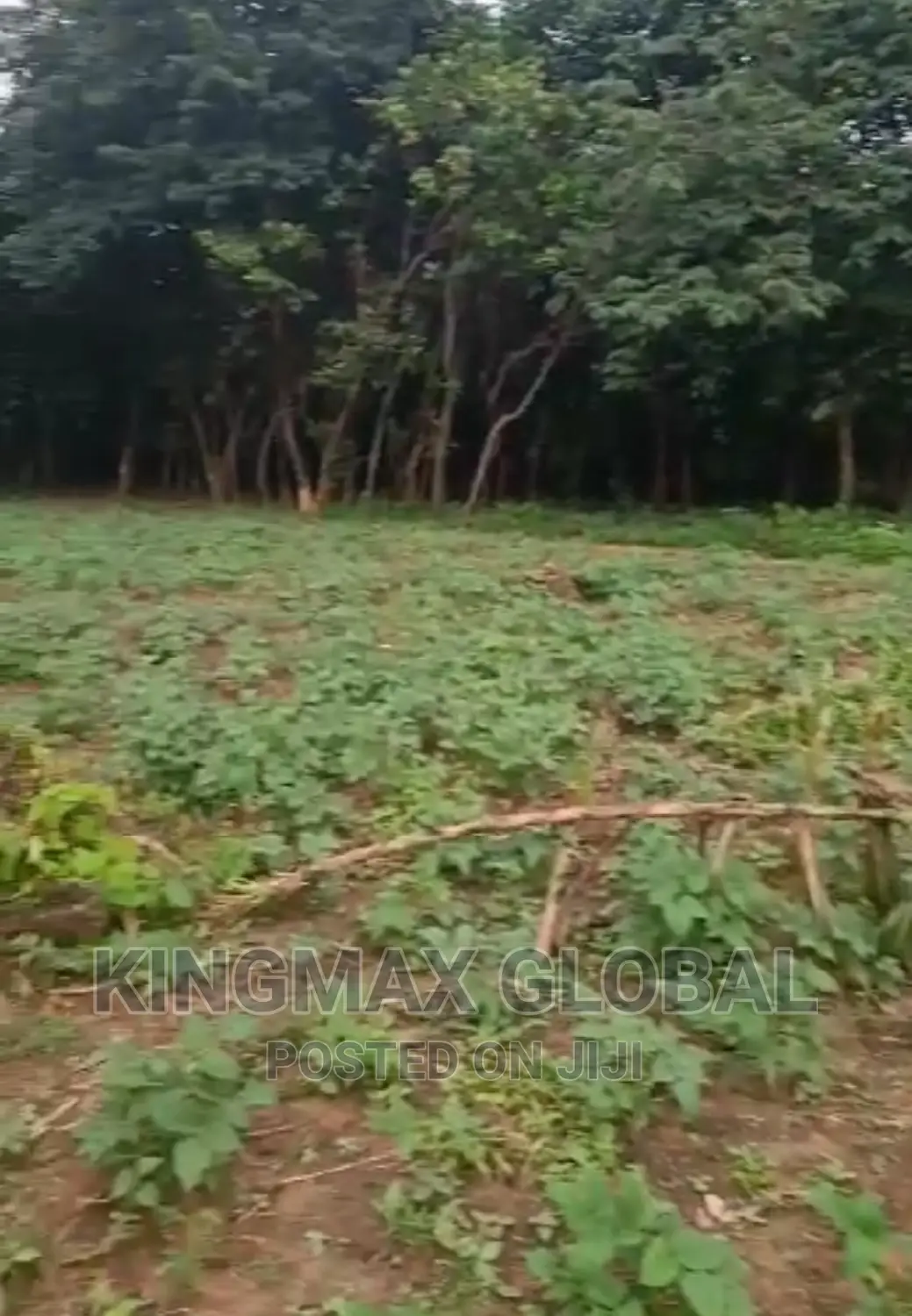Flat 5.14 Hectares Mixed Use Land Located in Guzape 2. in Guzape District