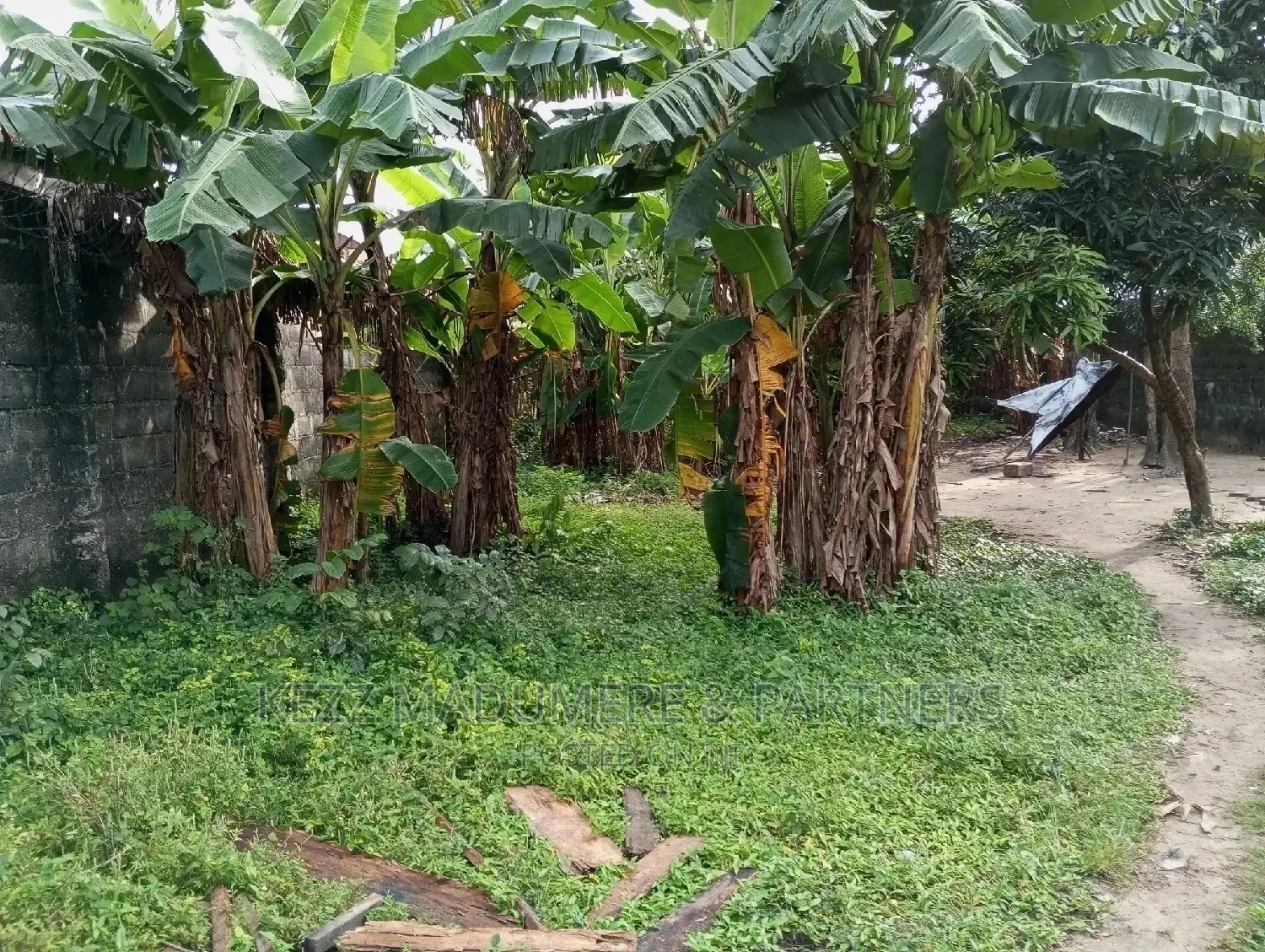 For Sale Land Behind Ruby Center Rumuodomaya in Port-Harcourt