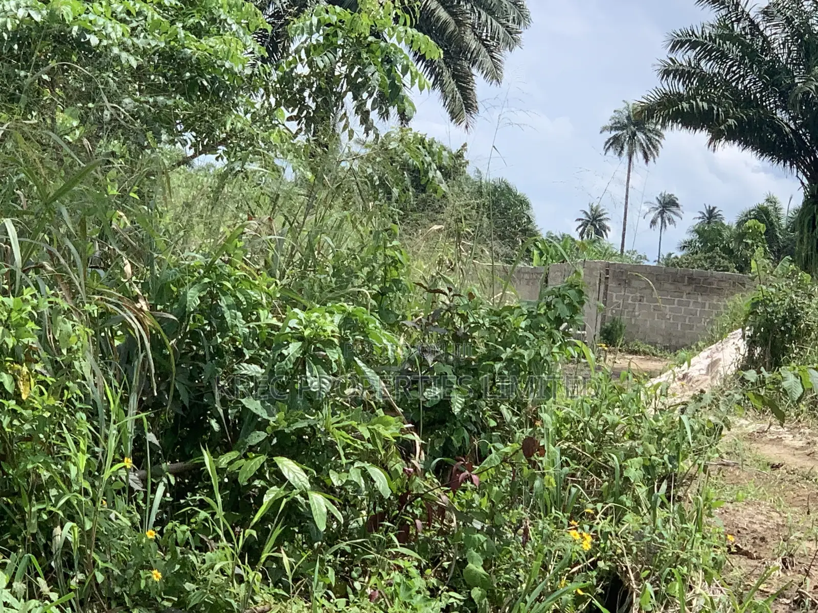 50plots Behind Rsu Campus Abara in Port-Harcourt