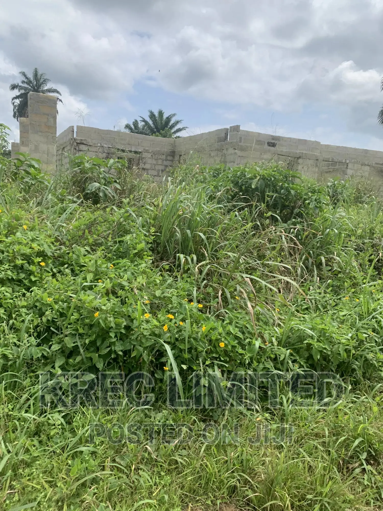 50plots Behind Rsu Campus Abara in Port-Harcourt