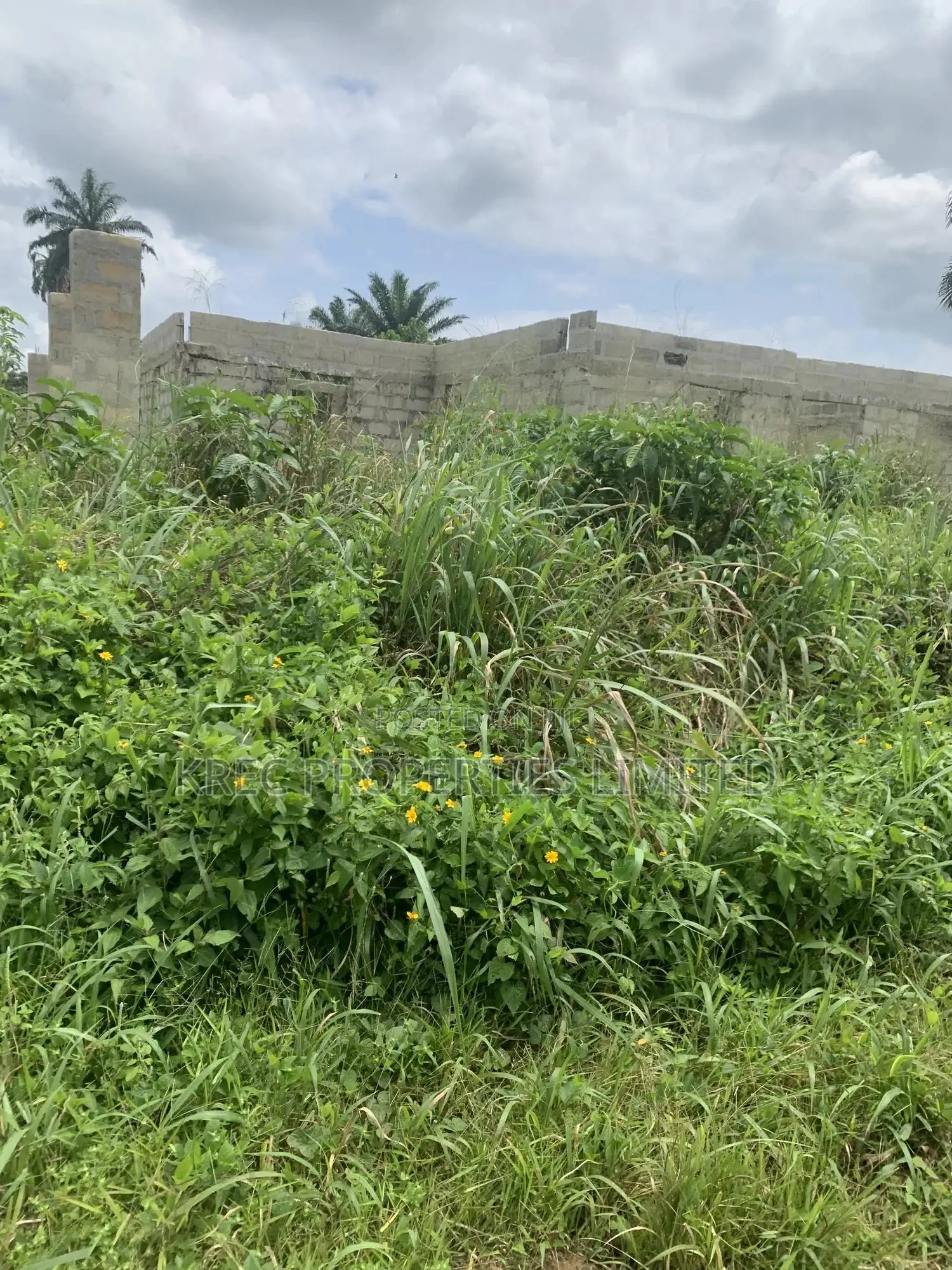 50plots Behind Rsu Campus Abara in Port-Harcourt