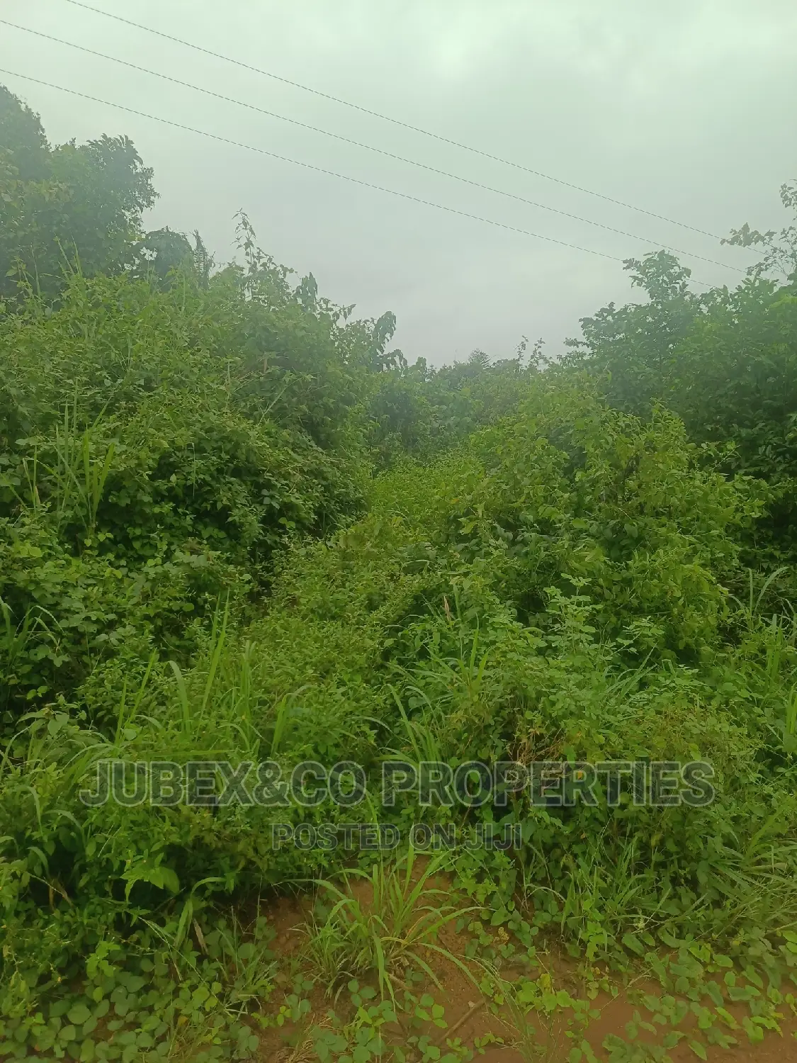Aplot for Sale Facing the Express at Itori in Ewekoro