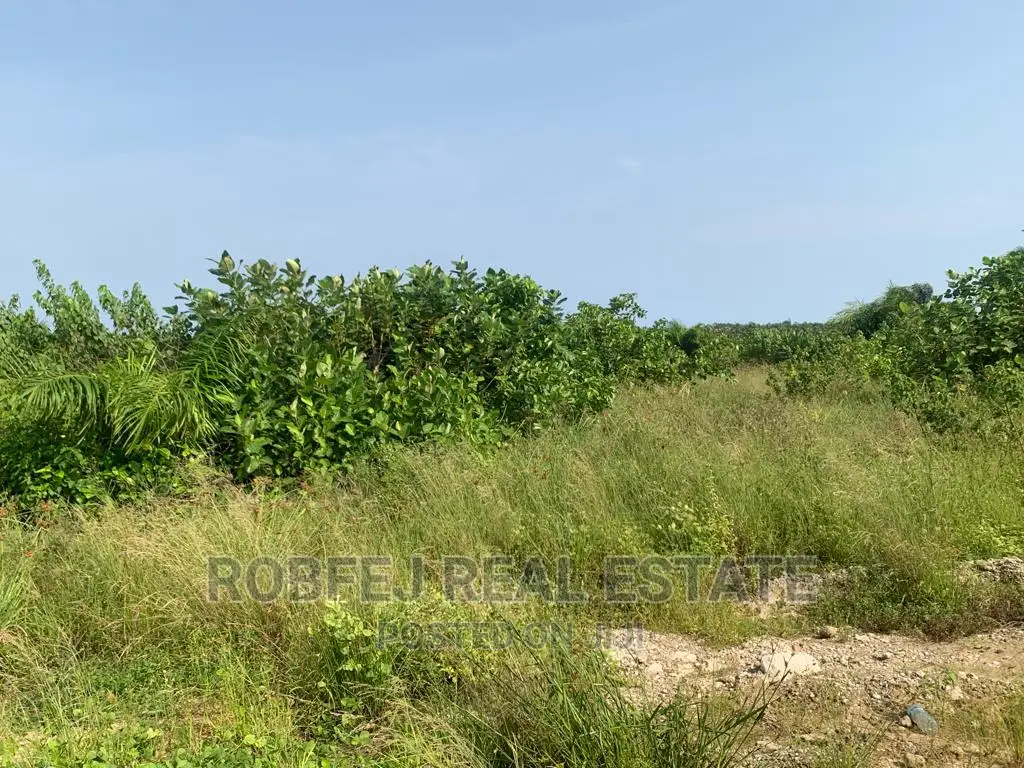 Distress Sale Offer for 600sqm Plot in Sangotedo