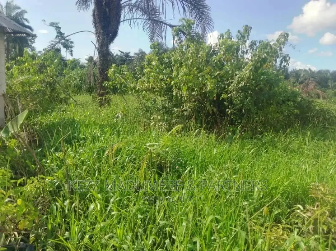 For Sale Land at 3D Bus Iwofe Road in Port-Harcourt
