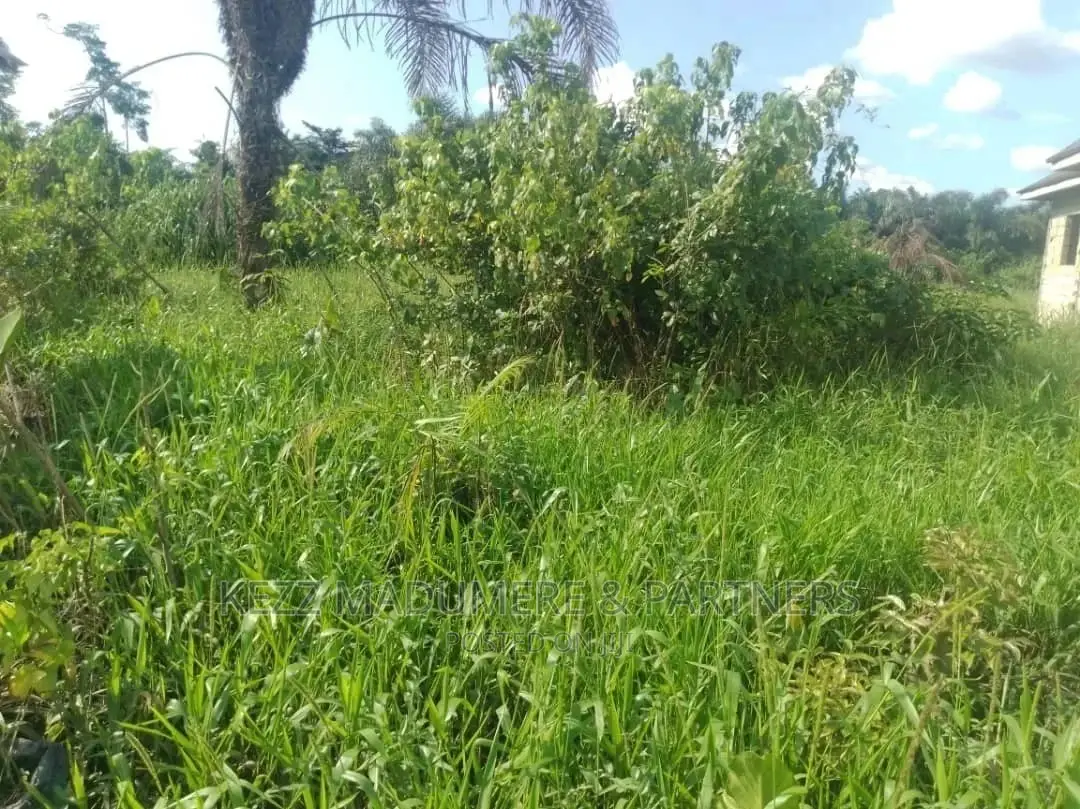 For Sale Land at 3D Bus Iwofe Road in Port-Harcourt