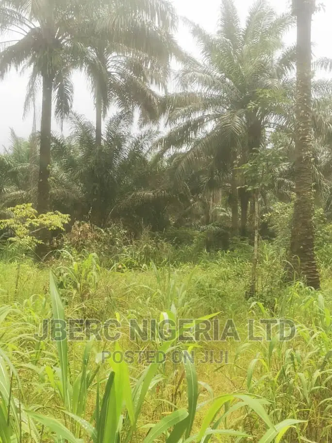 Deed of Transfer/Conveyance in Ihiala