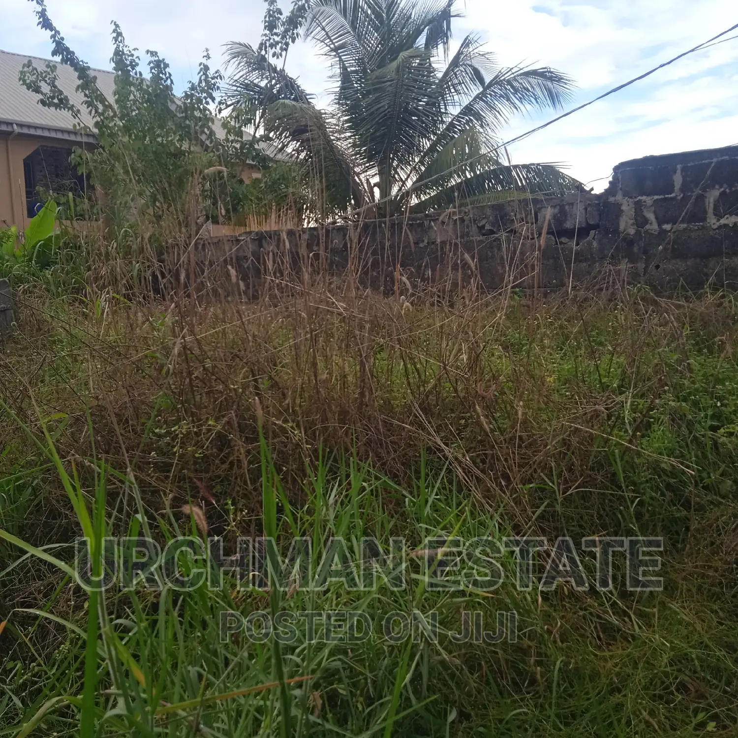 Half Plot of Dry Land in Alakija
