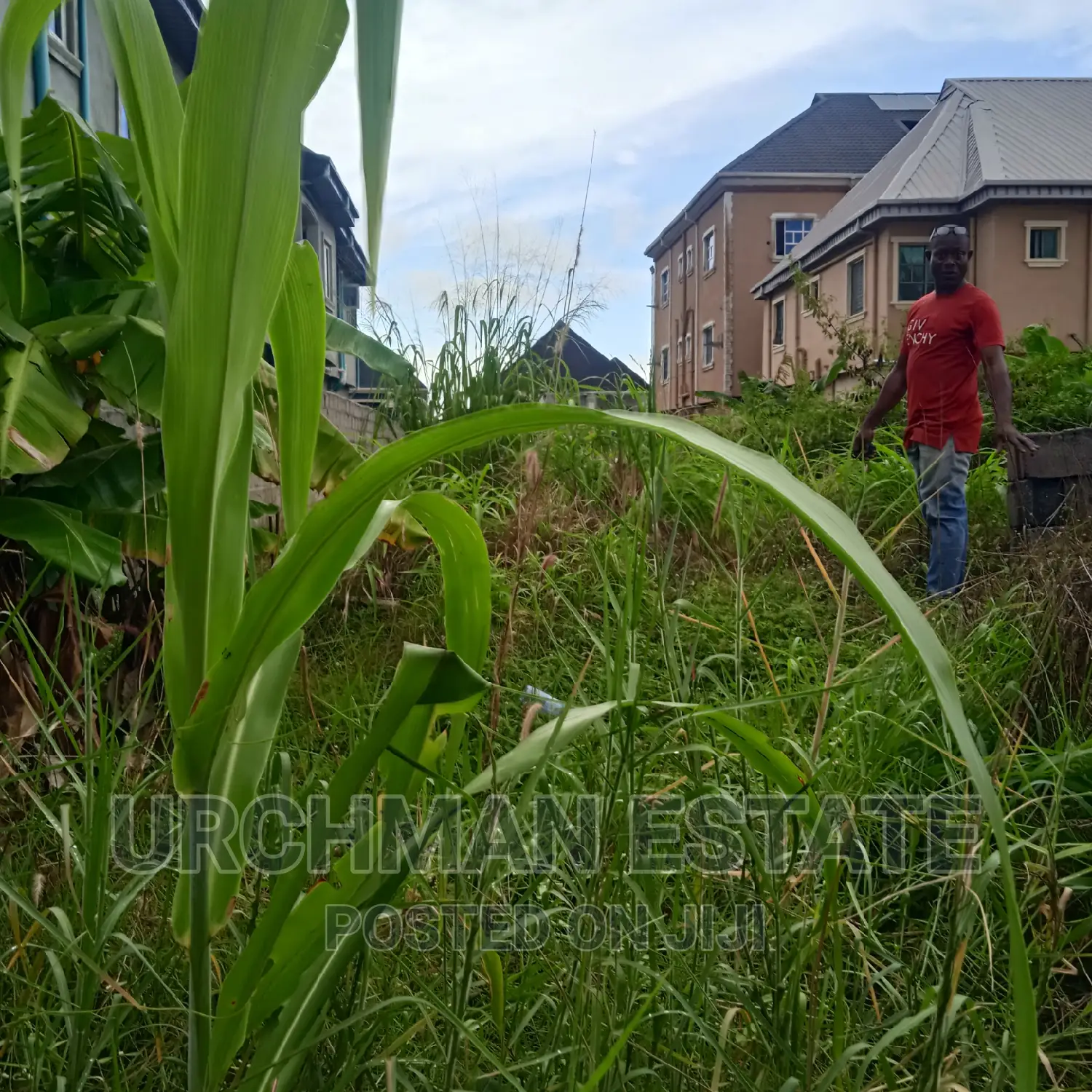 Half Plot of Dry Land in Alakija