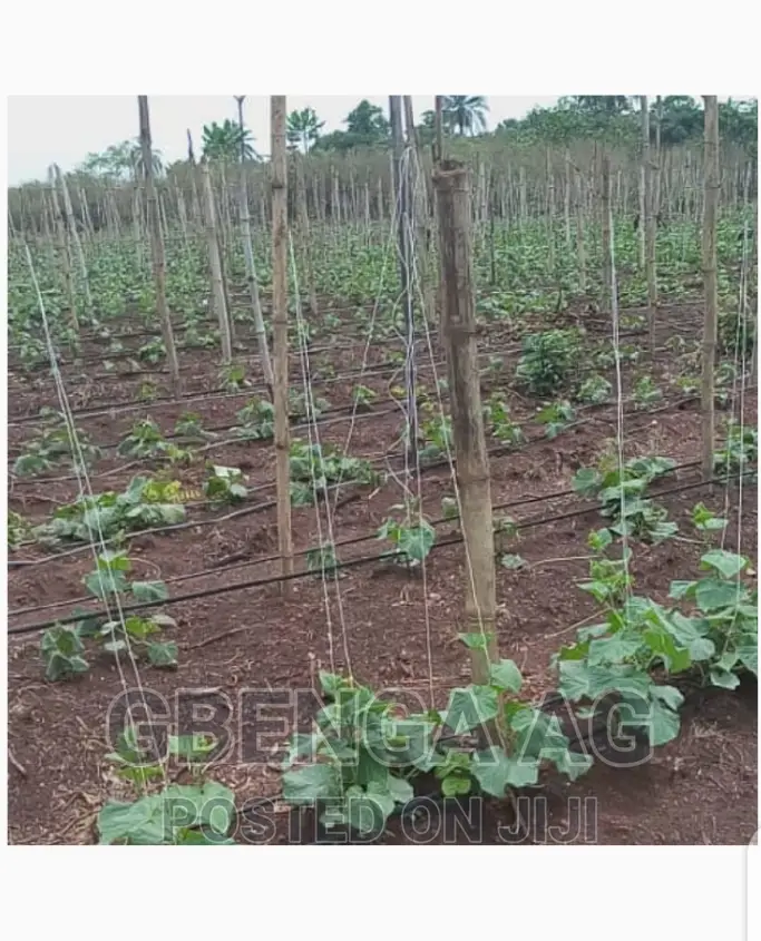 Farmland for Sale at Siun Ogun State in Obafemi-Owode