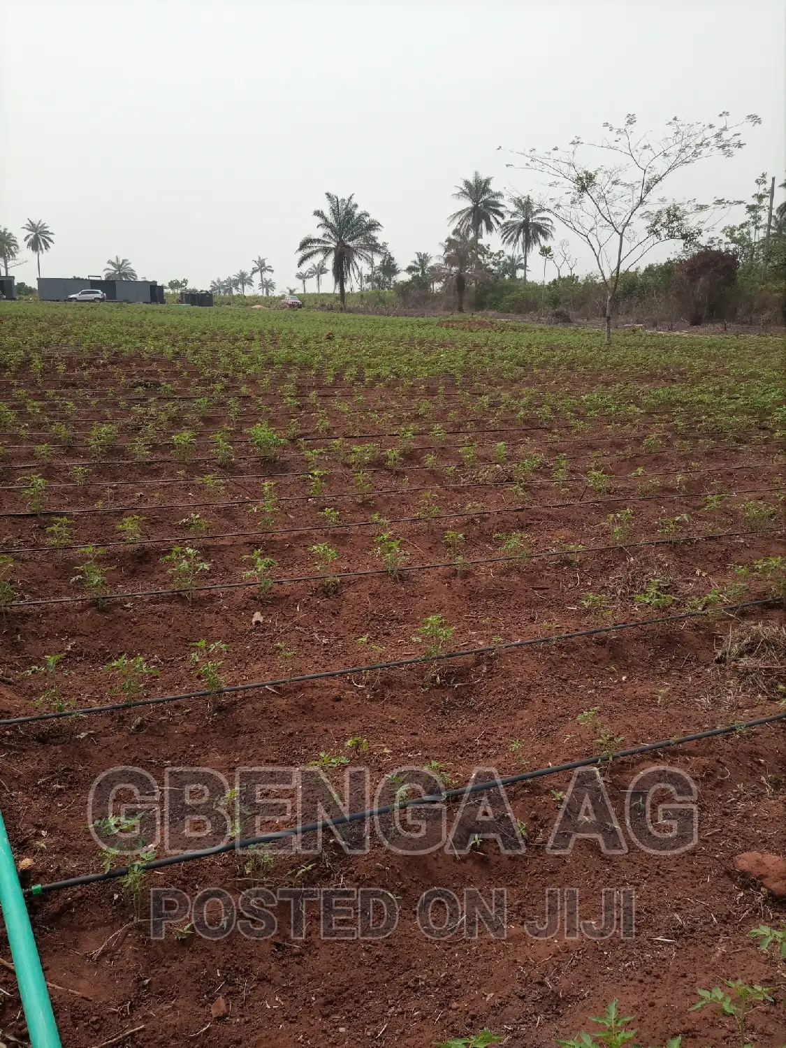 Farmland for Sale at Siun Ogun State in Obafemi-Owode