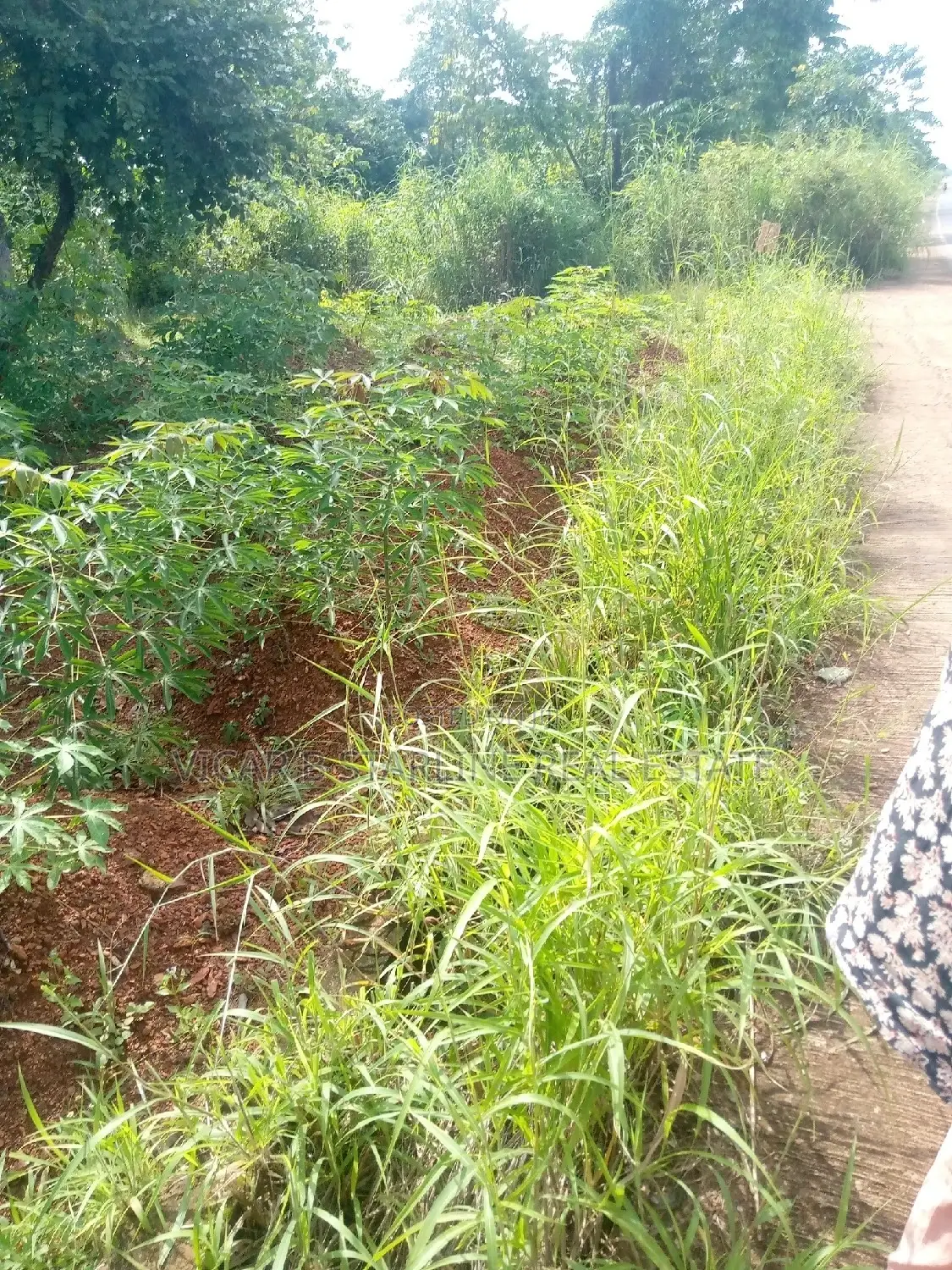 A Plot of Land for Sale at FUNAI Road Nkwoagu, Abakaliki in Abakaliki