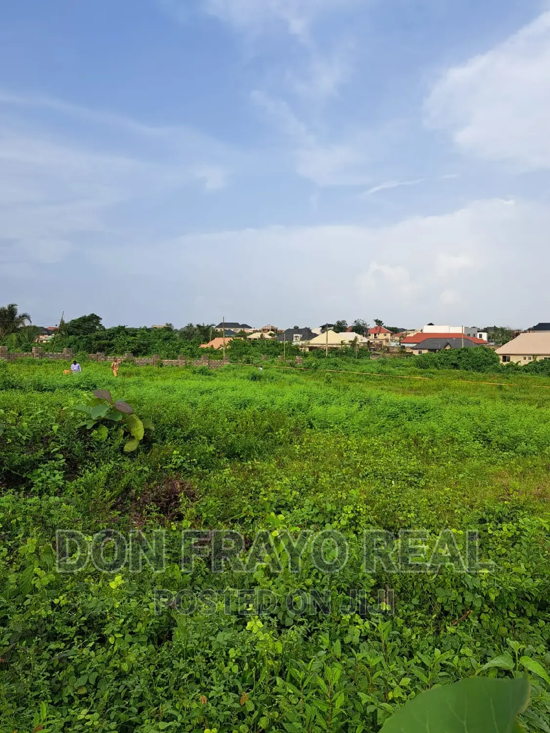 Lands Selling in Alafara Area Near Nihort Idishin in Idishin