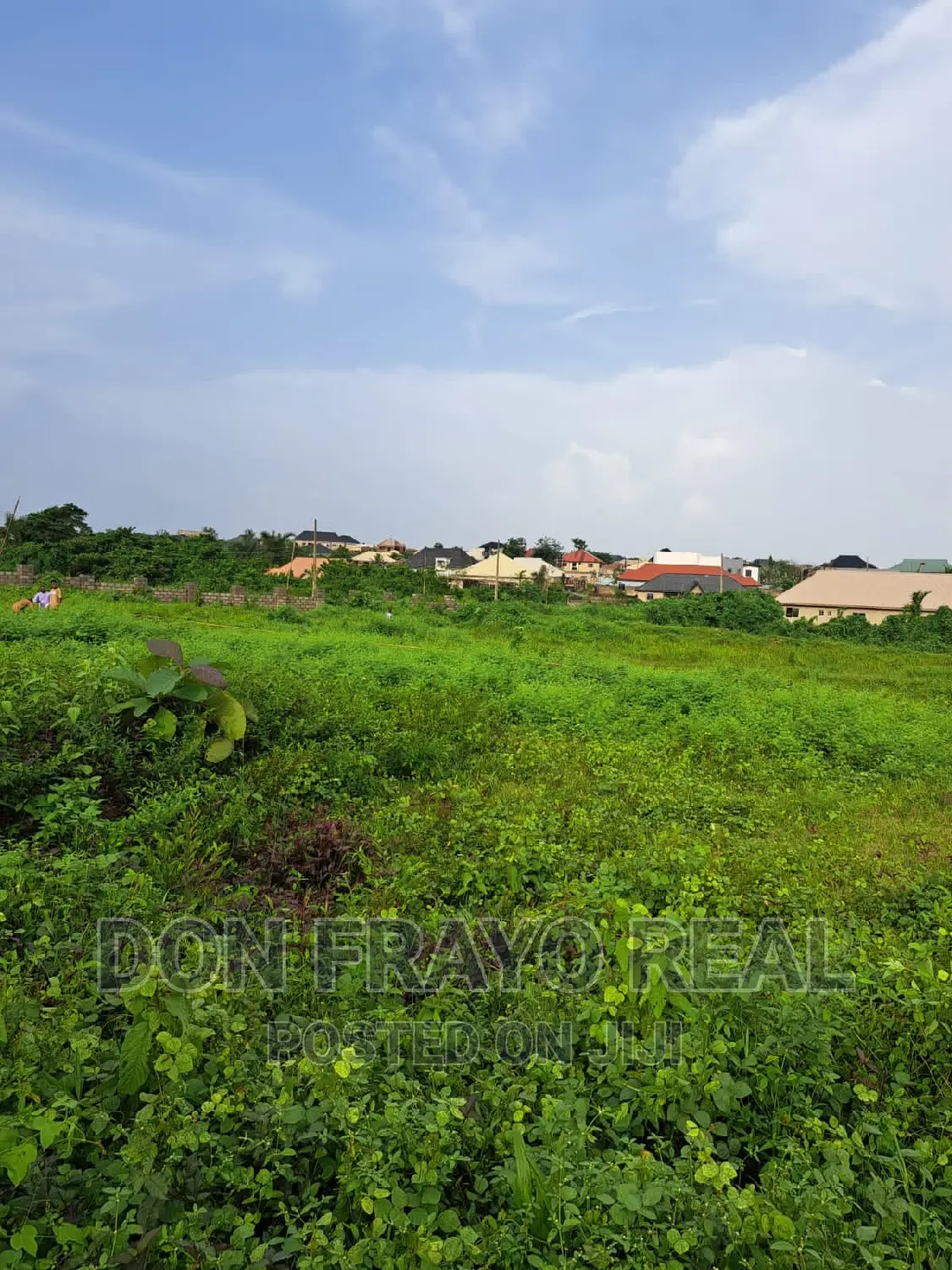 Lands Selling in Alafara Area Near Nihort Idishin in Idishin