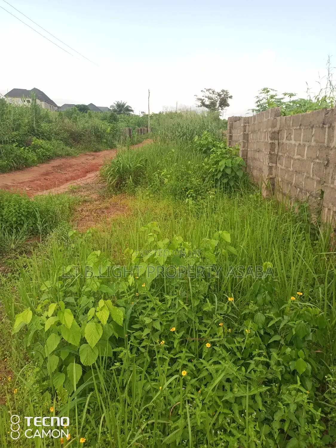 A Fenced Land With Gate Measuring 100ft by 100ft for Sale in Oshimili North