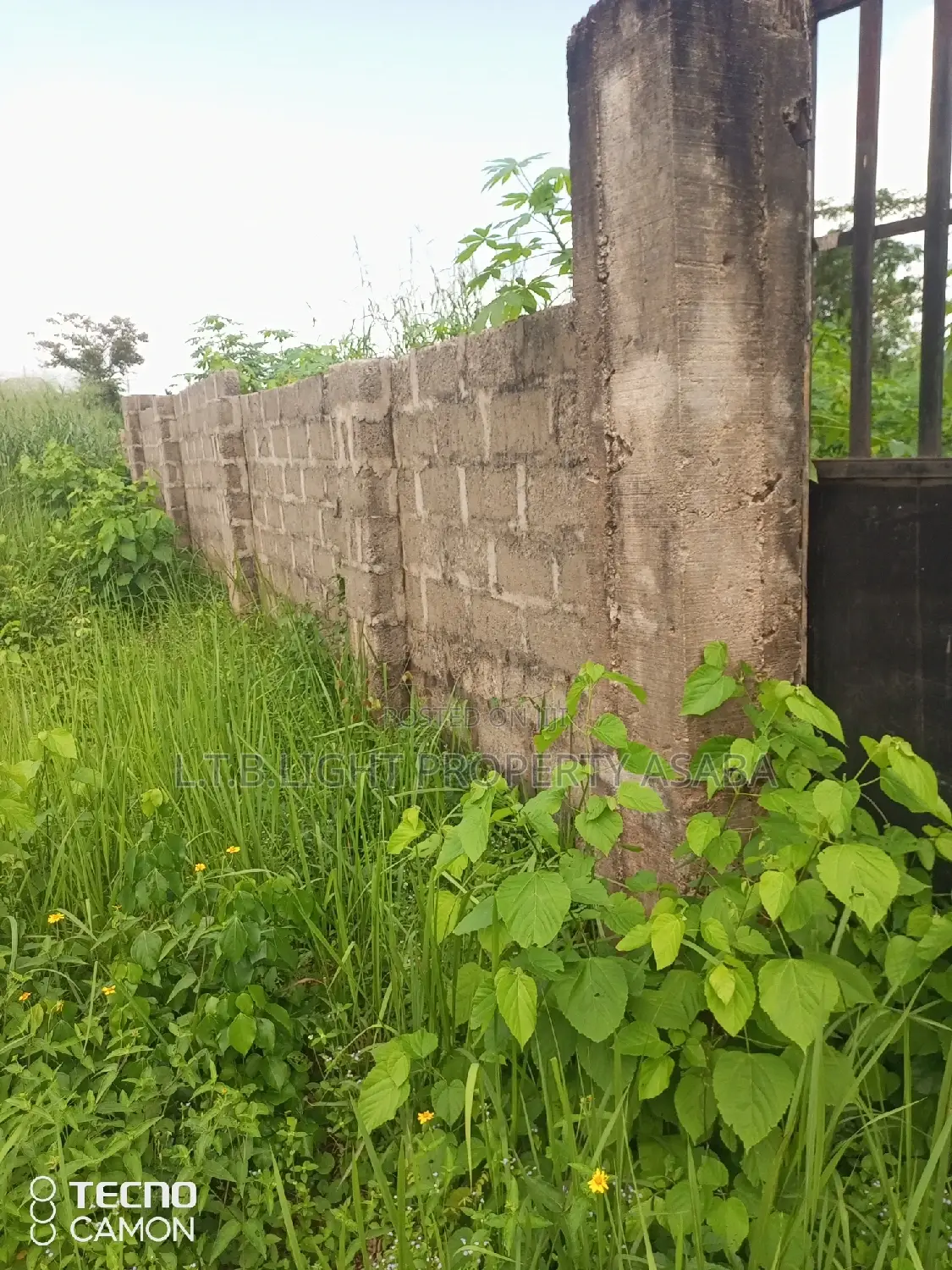 A Fenced Land With Gate Measuring 100ft by 100ft for Sale in Oshimili North