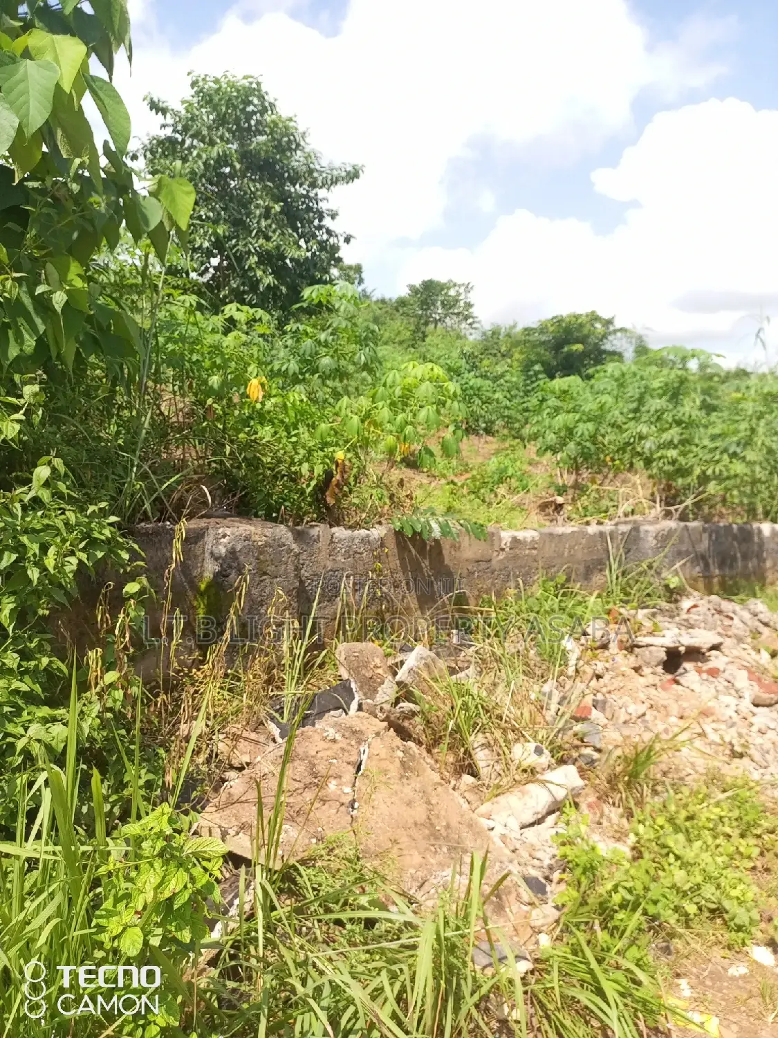 Land for Sale in Oshimili North