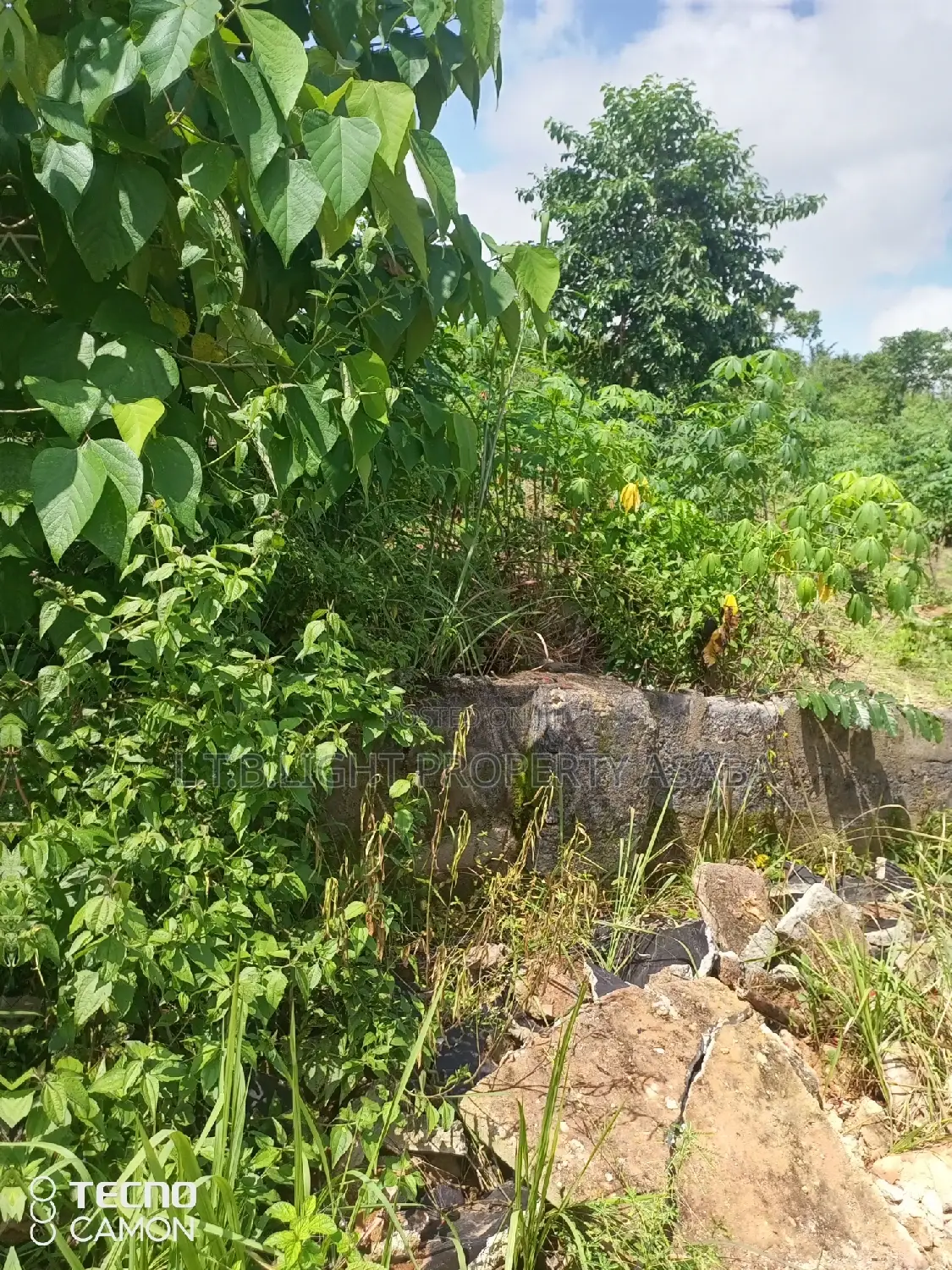 Land for Sale in Oshimili North