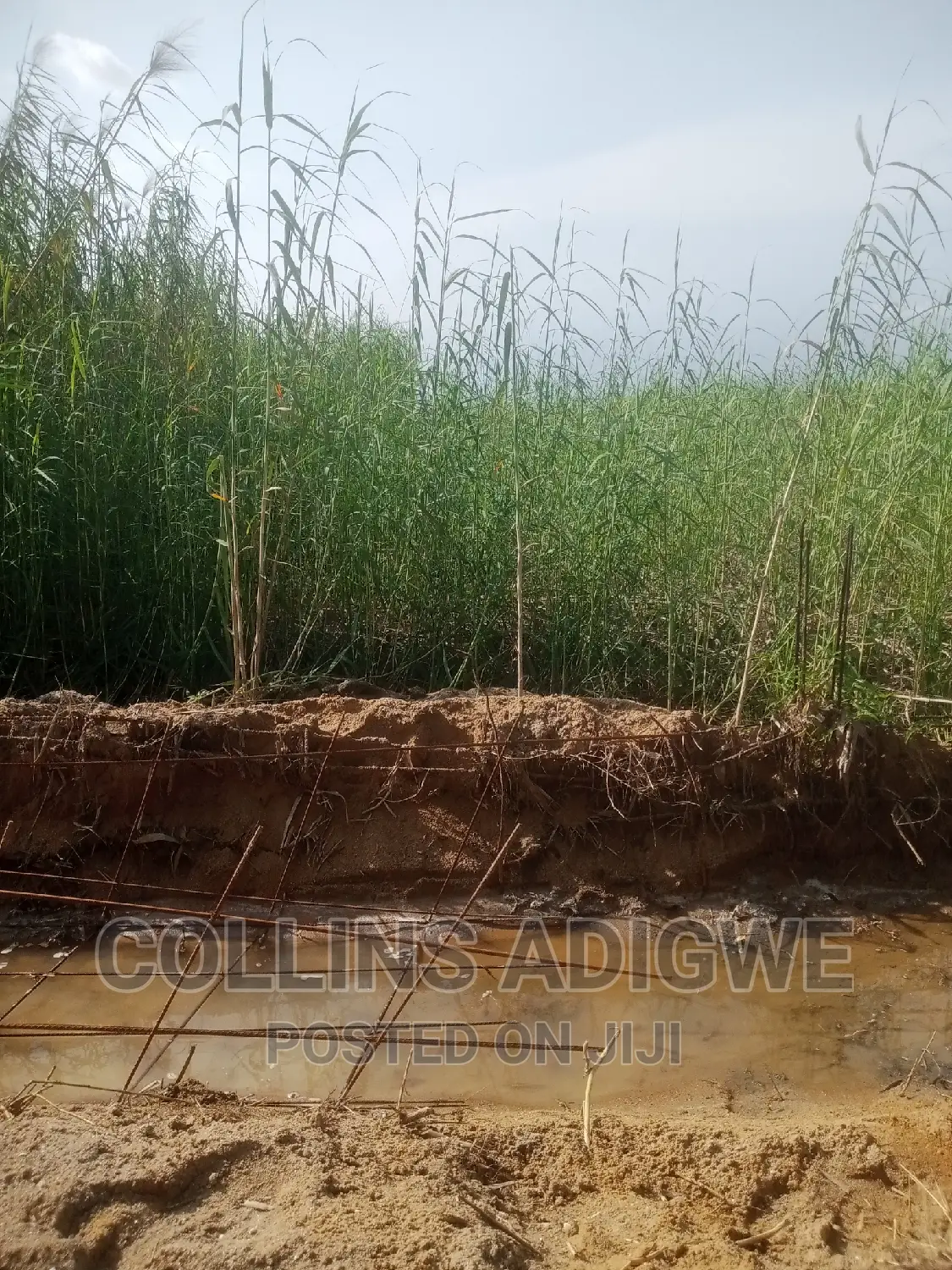 994 SQM Land at Lekk Palm City _Ajah in Ajah
