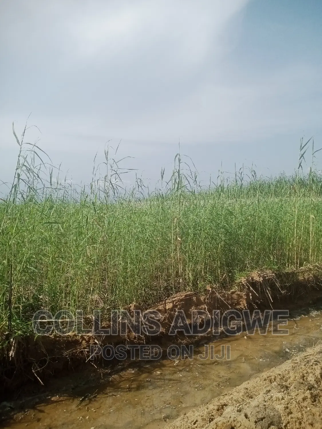 994 SQM Land at Lekk Palm City _Ajah in Ajah