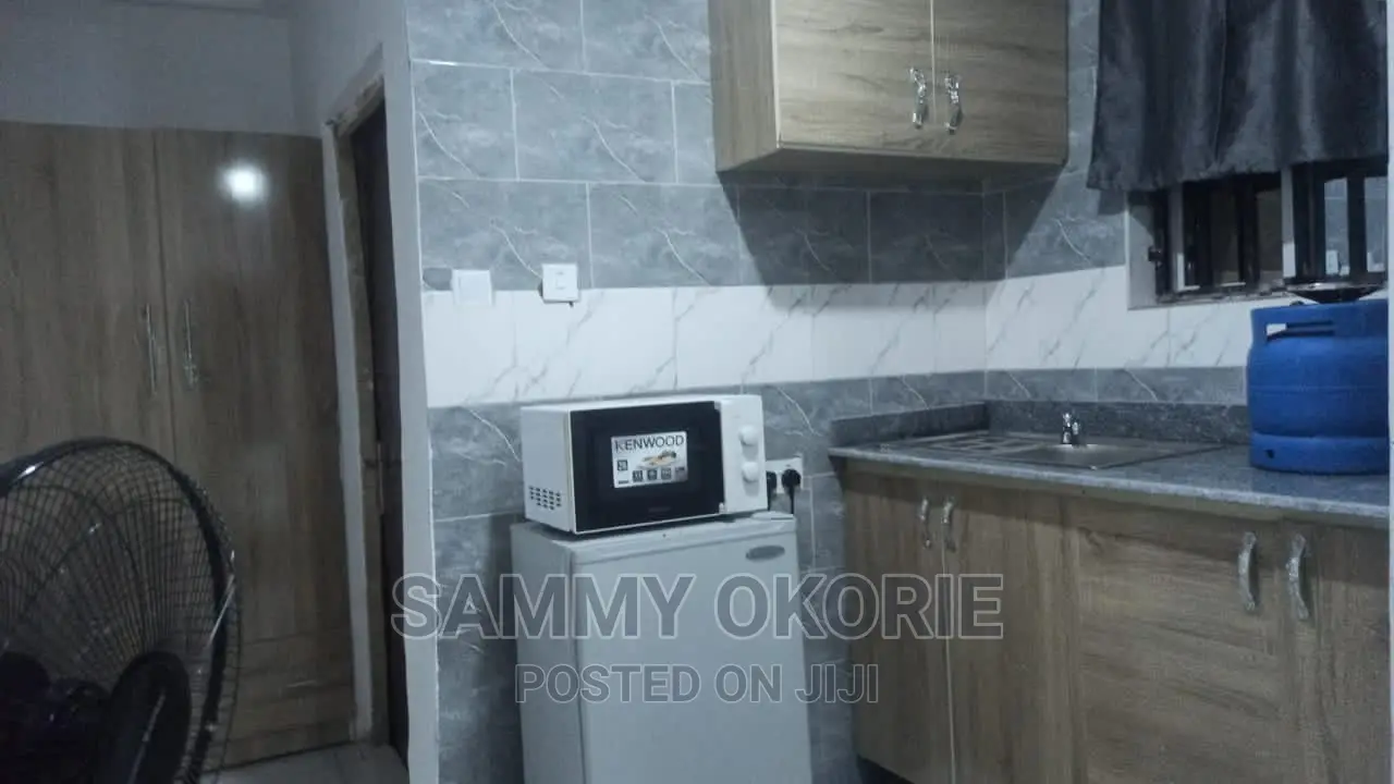 Superb Self Contained Apartment in Lokogoma
