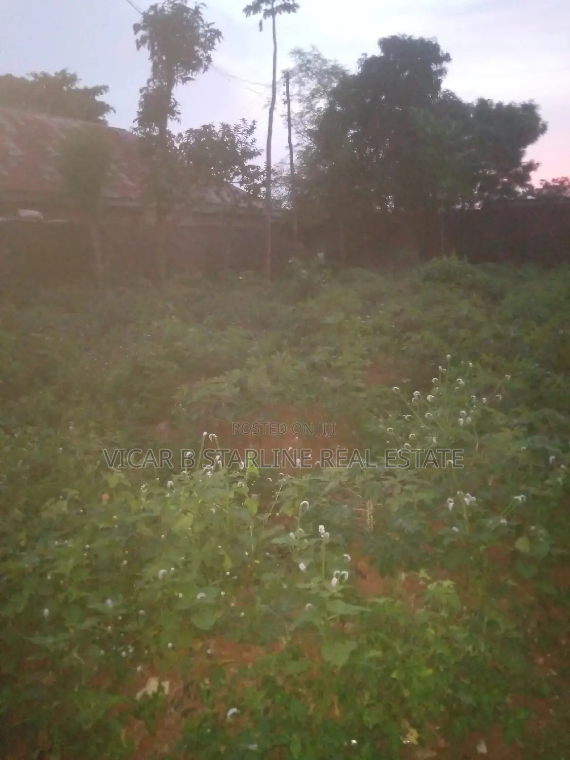 One Table Plot of Land Opposite G Hostel Umunze 4 Sale 5.5m in Abakaliki