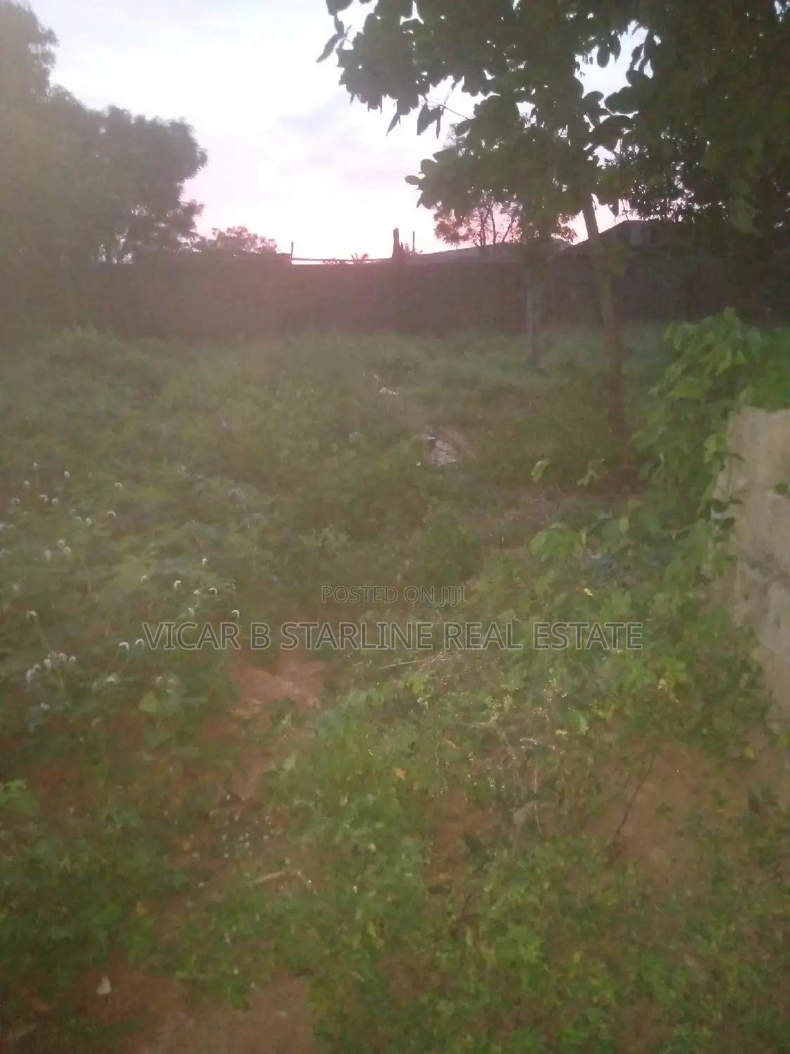 One Table Plot of Land Opposite G Hostel Umunze 4 Sale 5.5m in Abakaliki